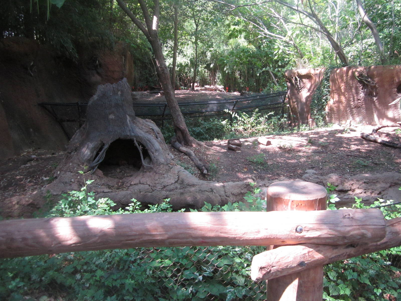 Aug. 2012-Bush Dog exhibit