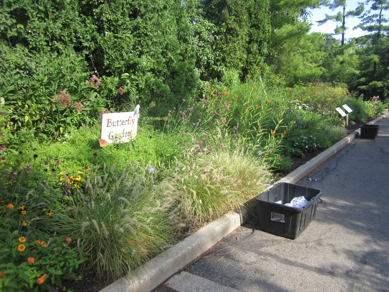 Aug. 2012-Butterfly Garden