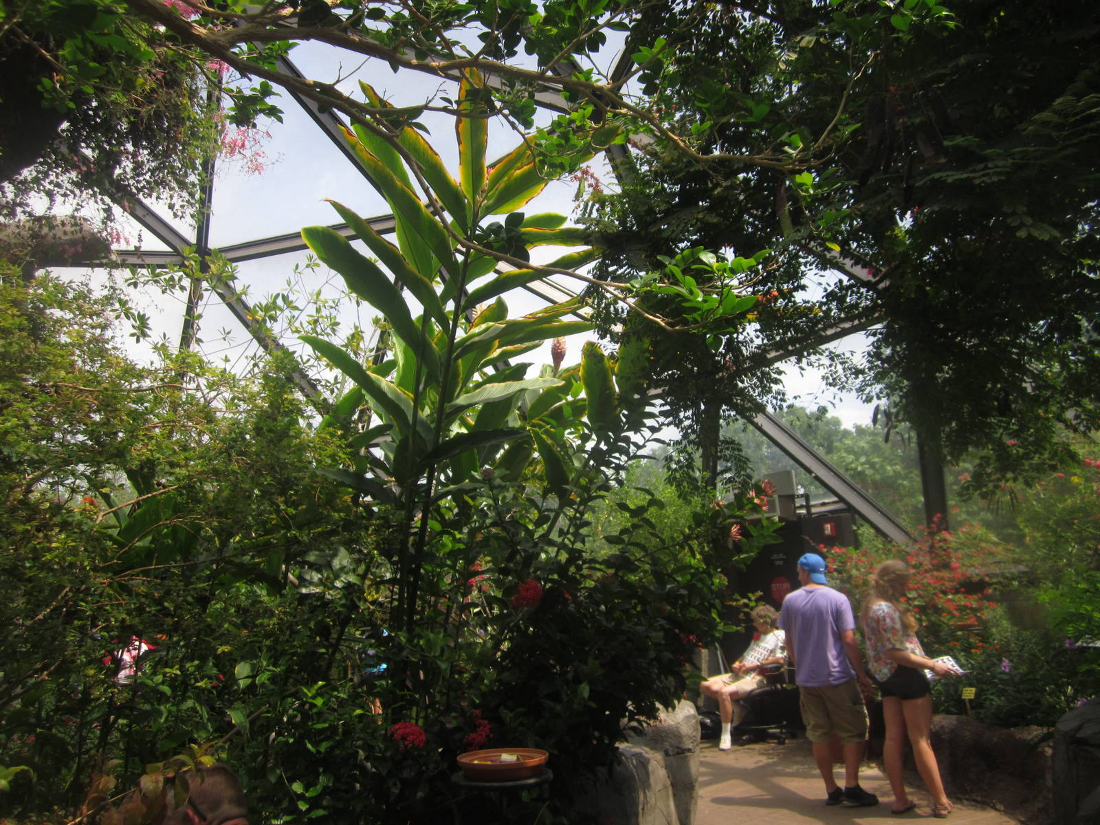 Aug. 2012-Butterfly Wing