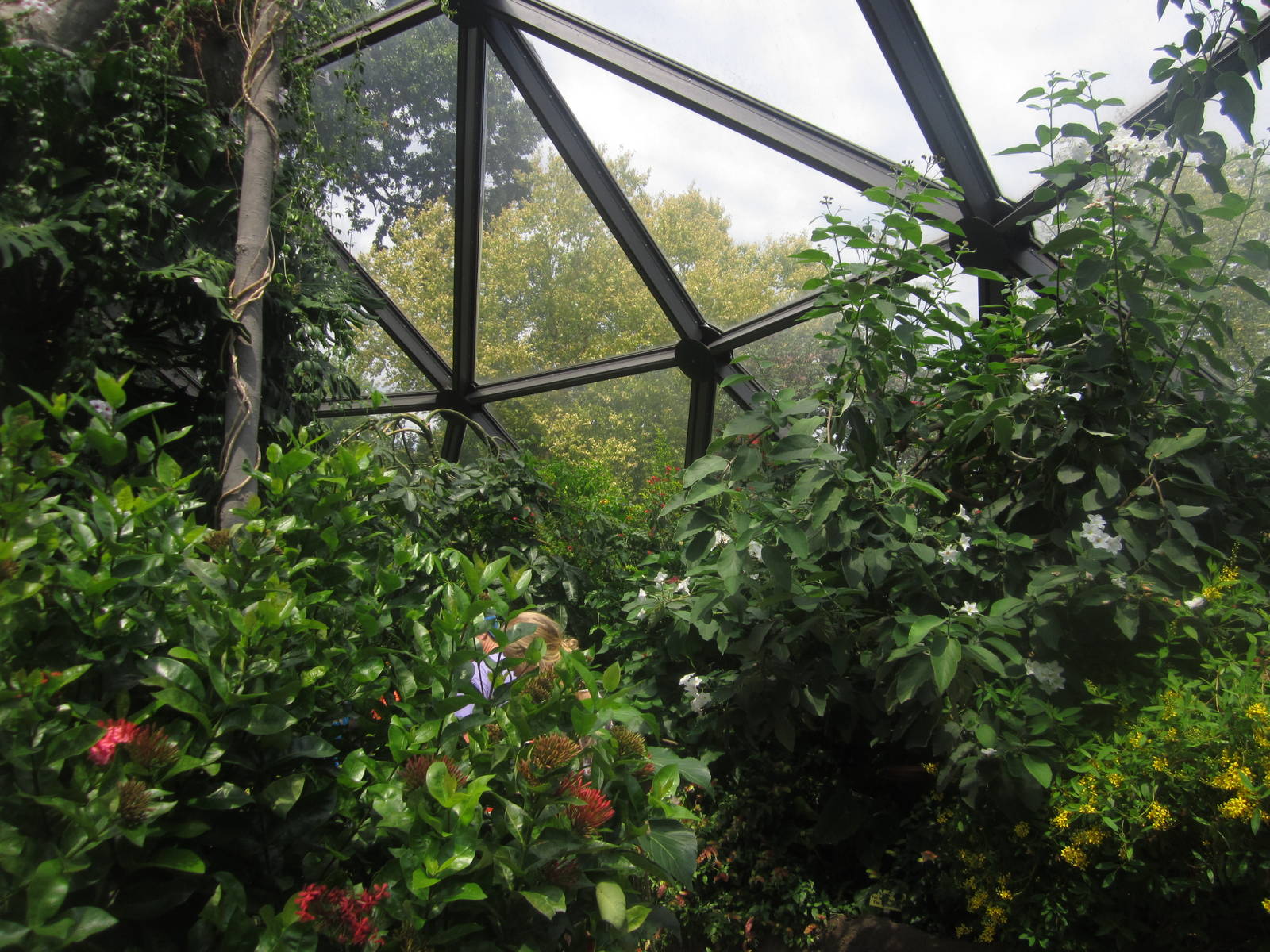 Aug. 2012-Butterfly Wing