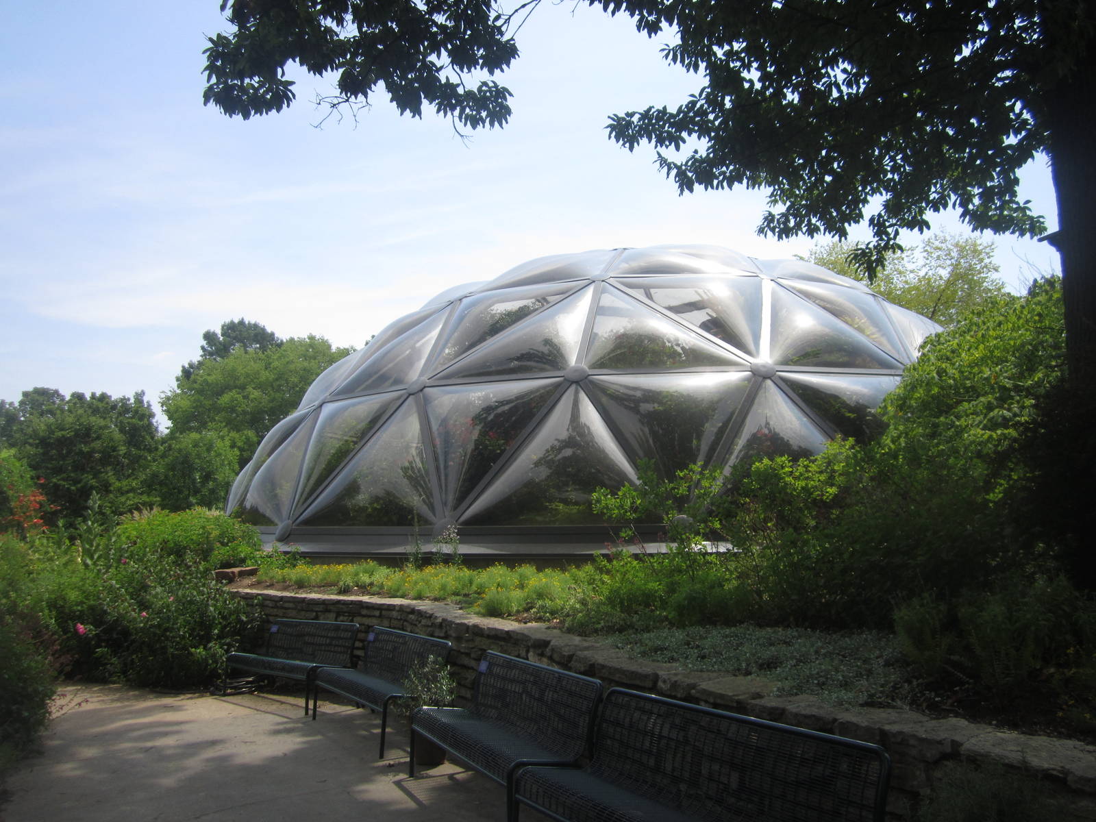 Aug. 2012-Butterfly Wing