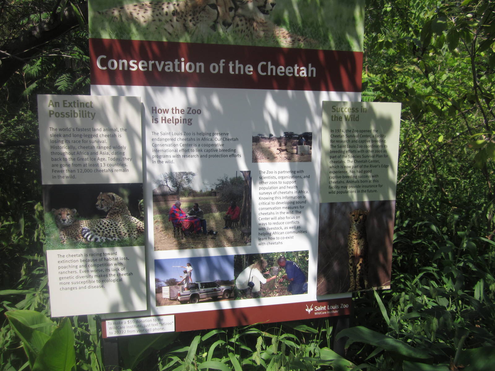 Aug. 2012-Cheetah sign