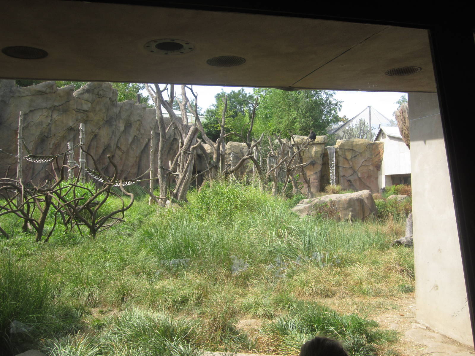 Aug. 2012-Chimpanzee exhibit