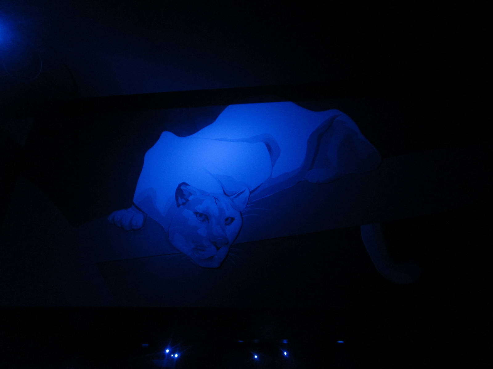 Aug. 2012-Cougar painting