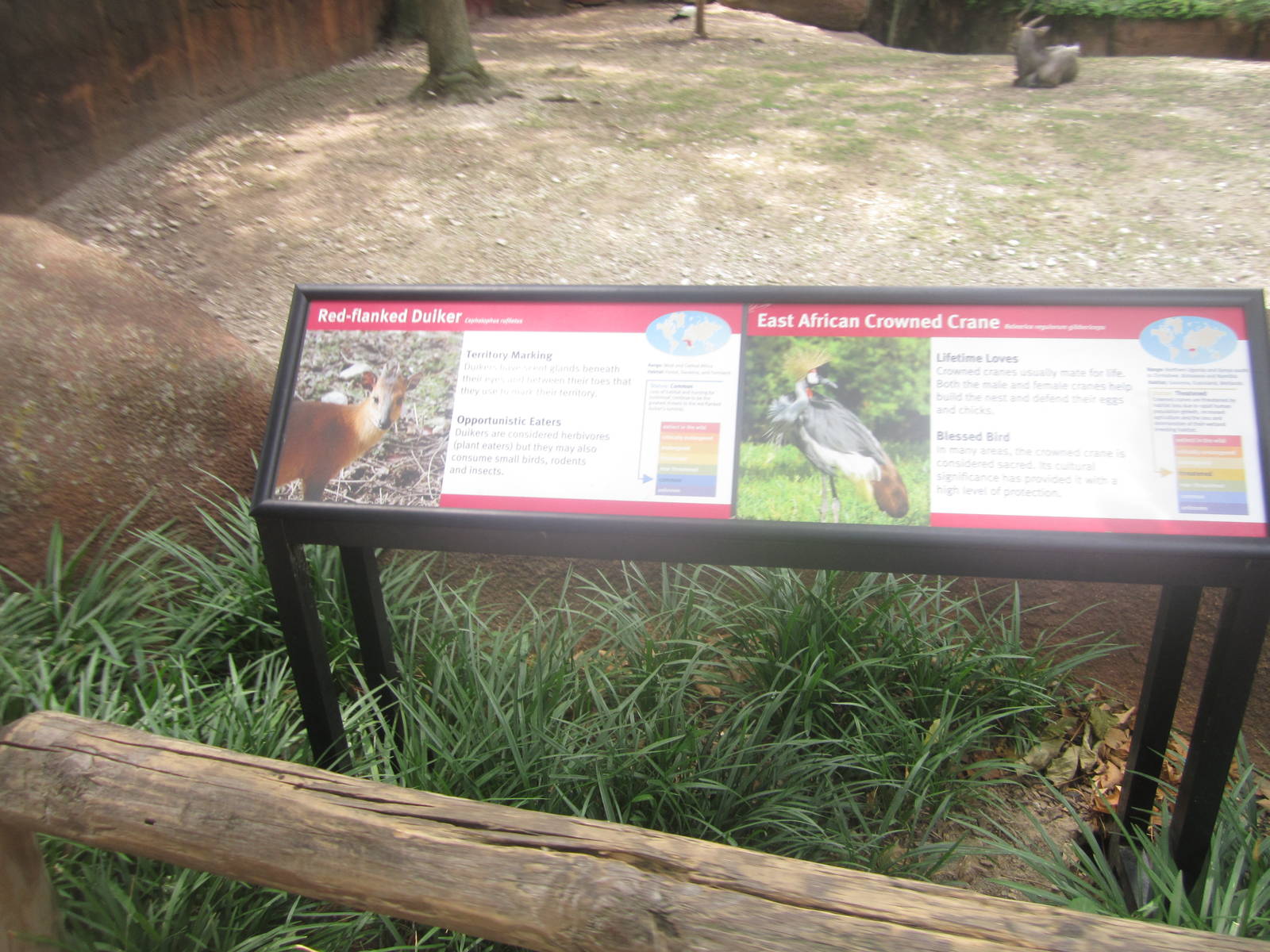 Aug. 2012-Crane/Duiker Signs