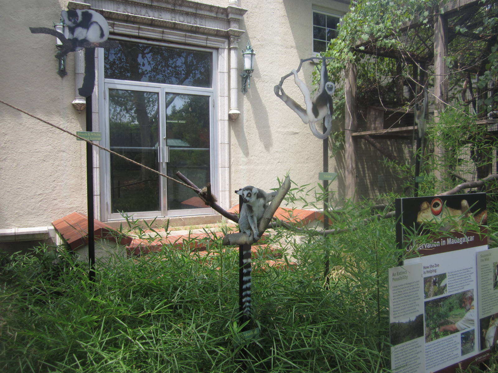 Aug. 2012-Cut-out Lemur Signs