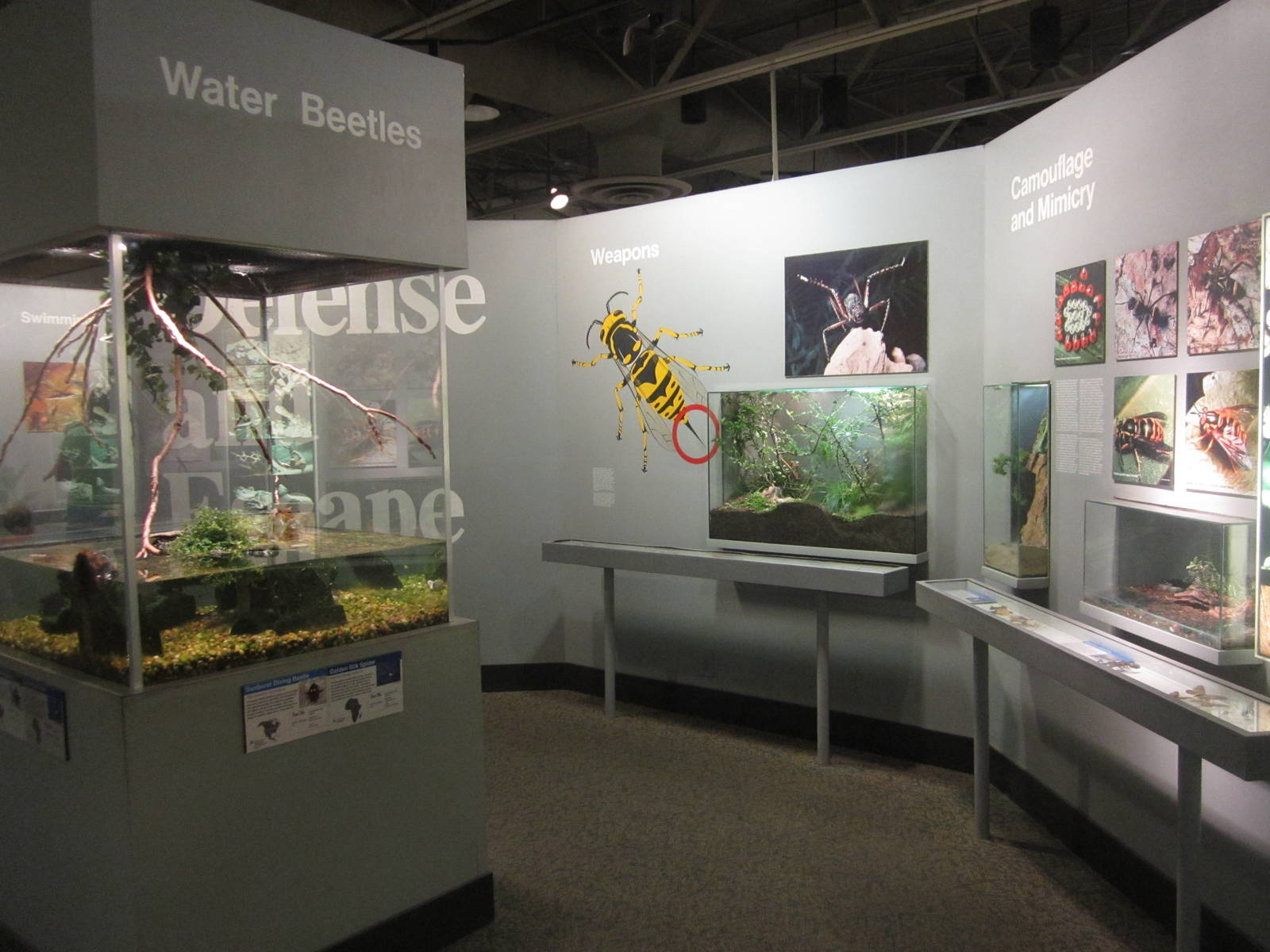 Aug. 2012-Defense and Escape section