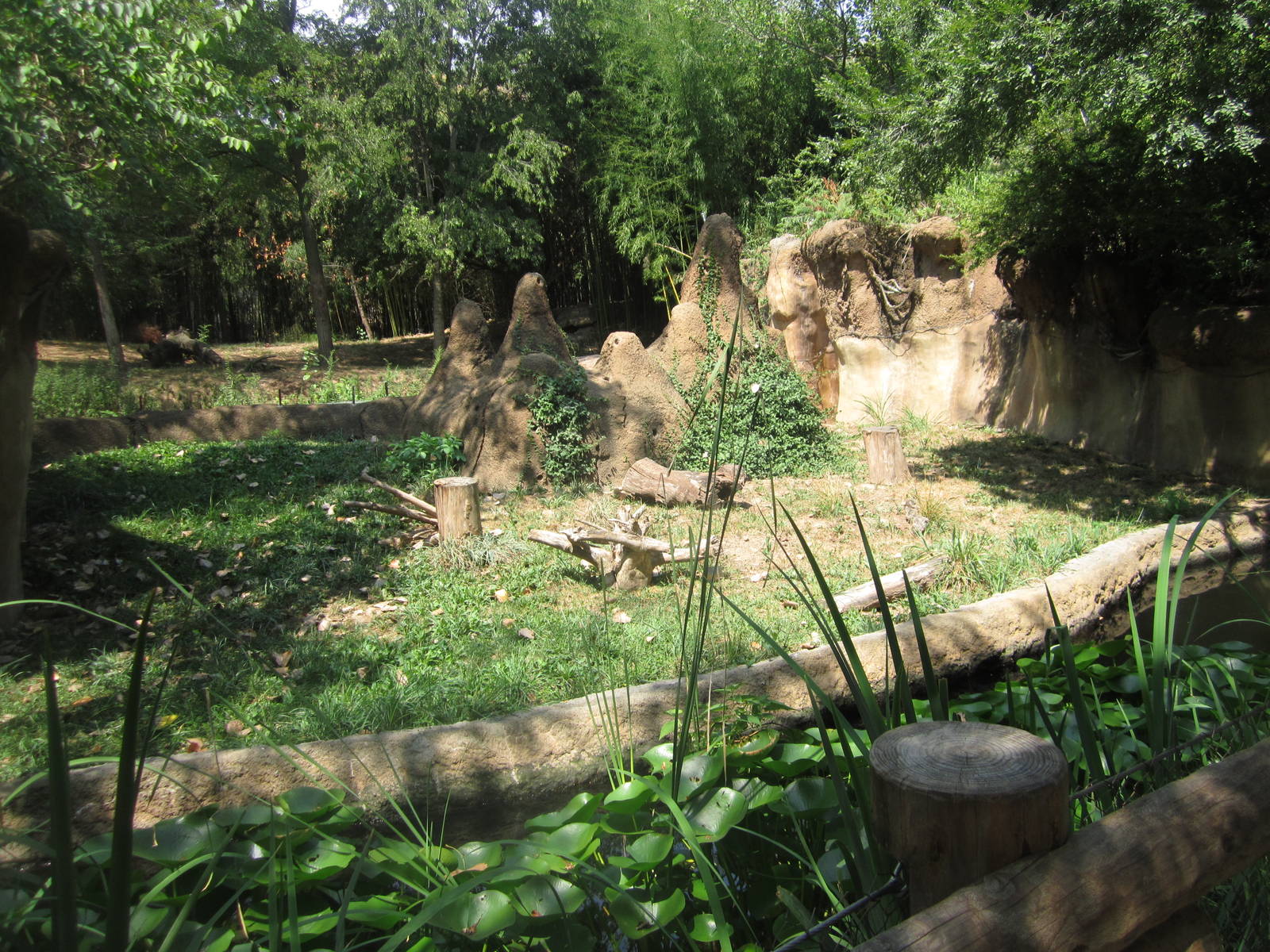 Aug. 2012-Dwarf Mongoose + Cheetah exhibits