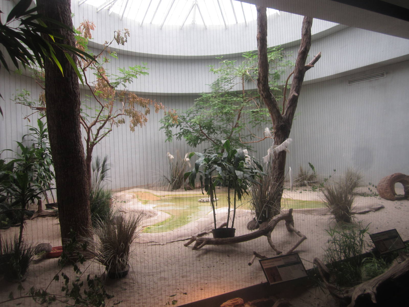 Aug. 2012-Elegant Crested Tinamou/Blue-crowned Motmot exhibit
