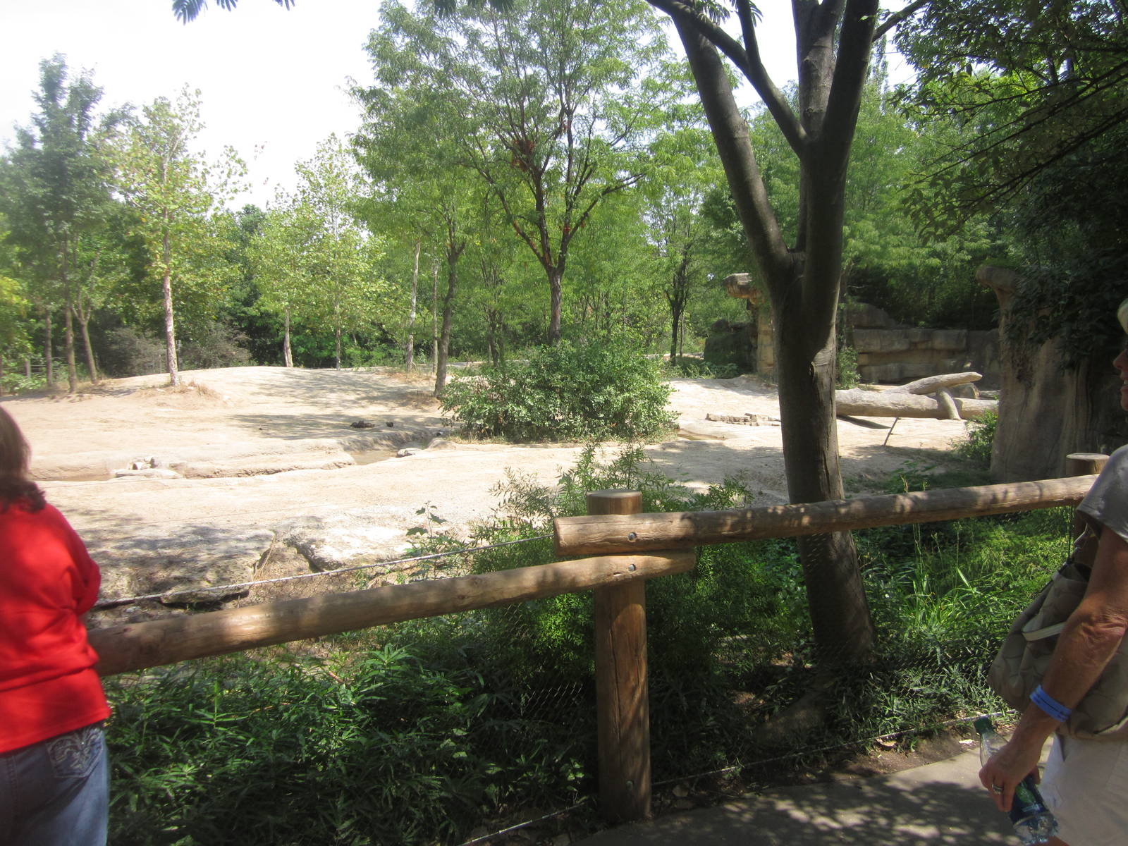Aug. 2012-Female Asian Elephant yard