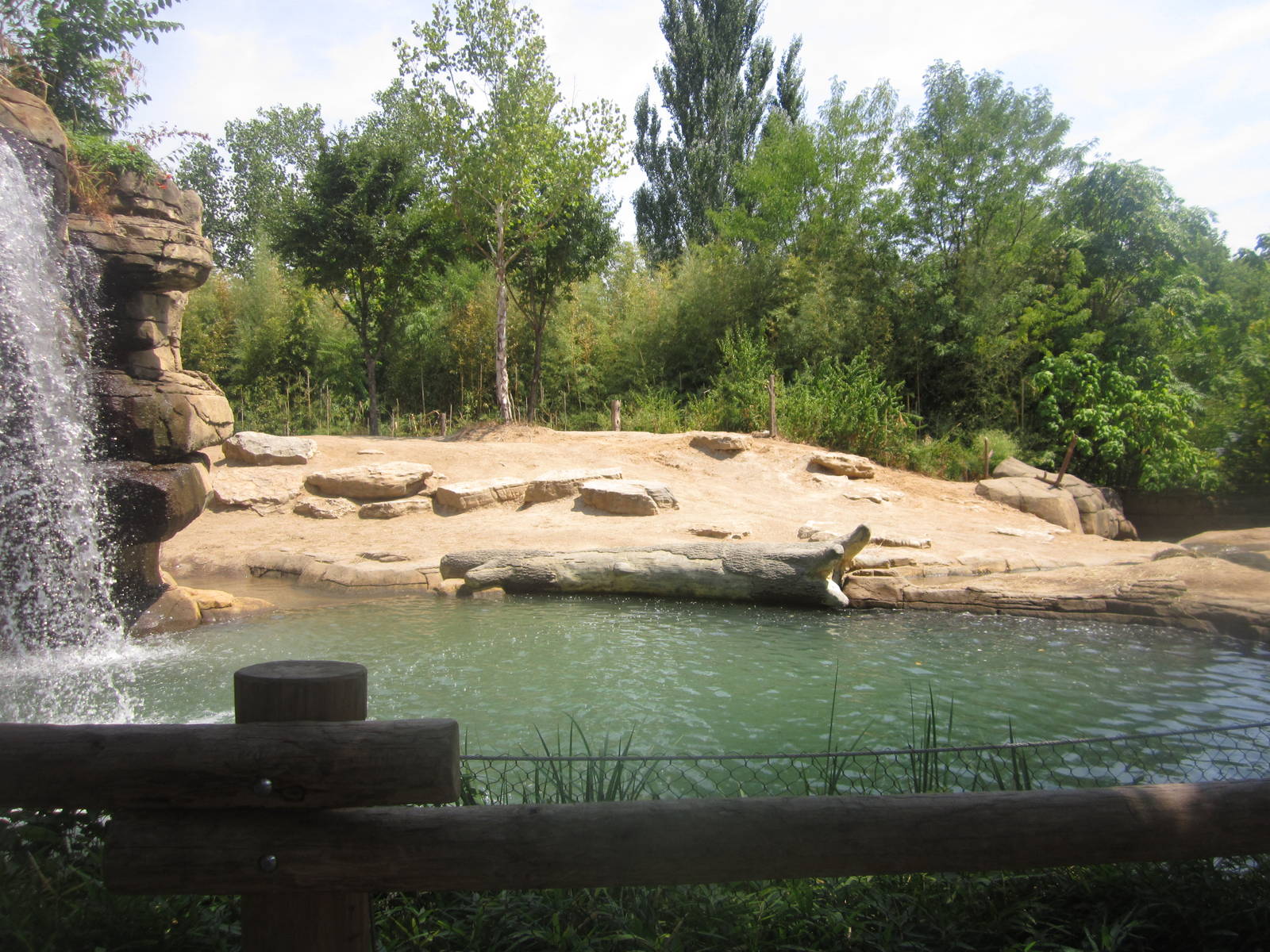 Aug. 2012-Female Asian Elephant yard