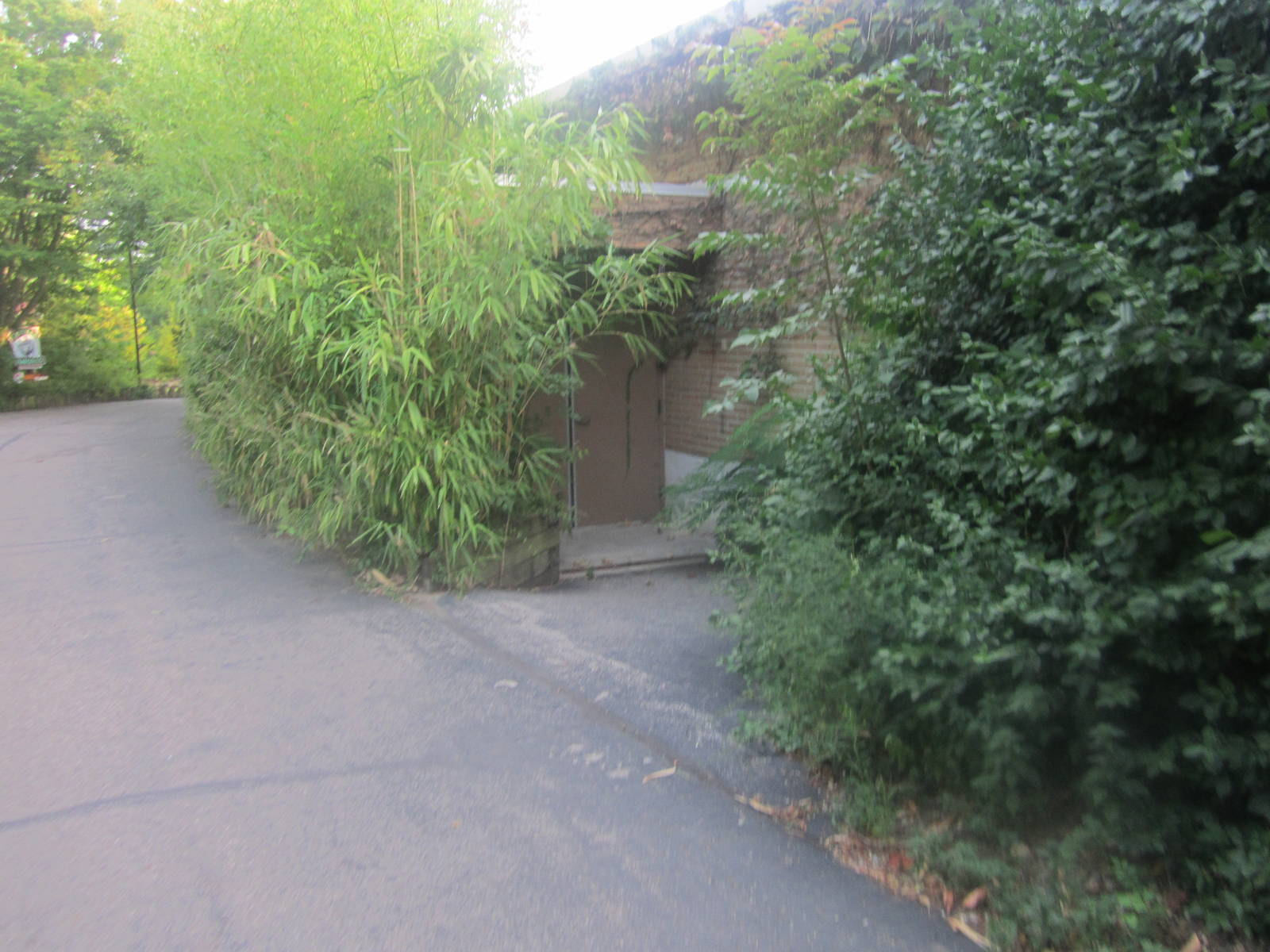 Aug. 2012-Former Cat House exit