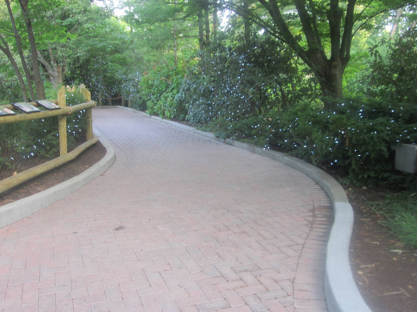 Aug. 2012-Getting Ready for the Festival of Lights