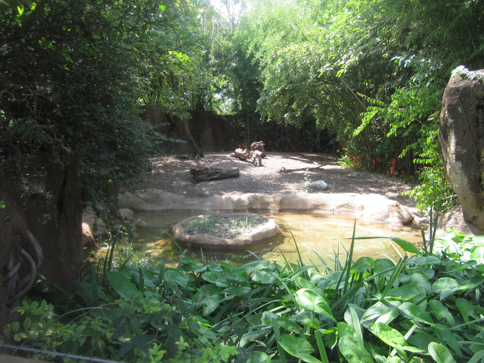 Aug. 2012-Giant Anteater/Capybara exhibit