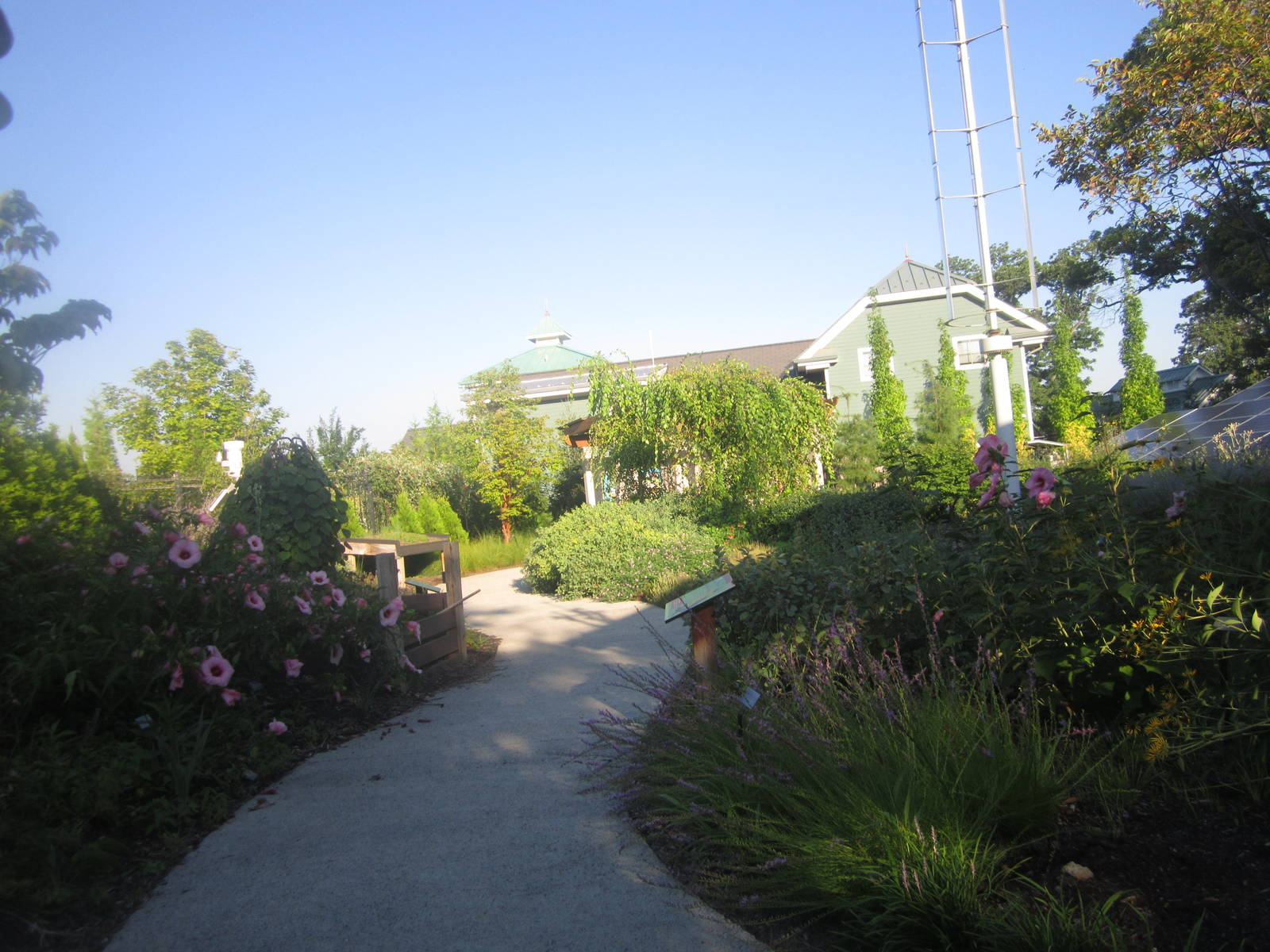 Aug. 2012-Go Green Garden