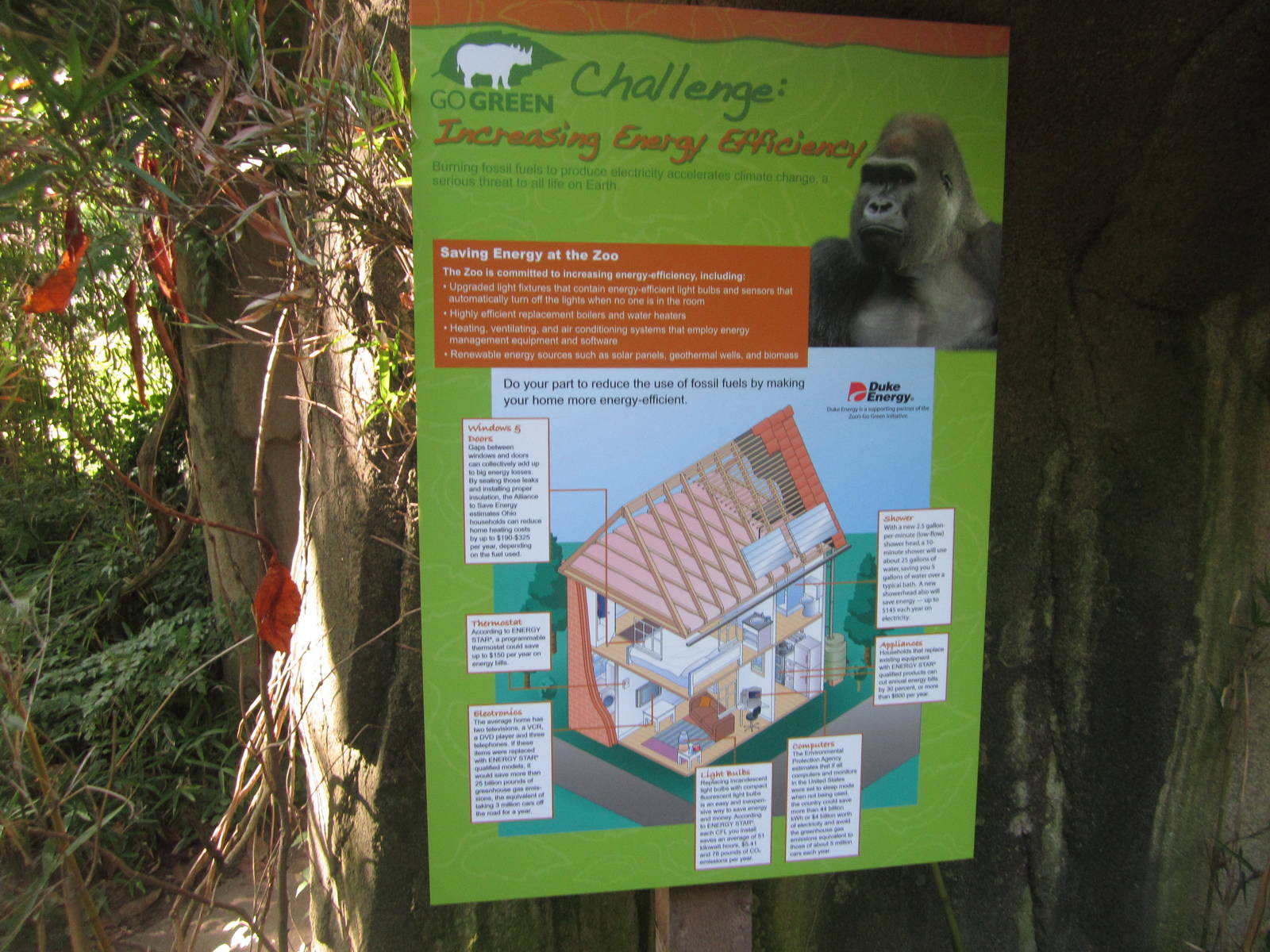 Aug. 2012-Gorilla World sign