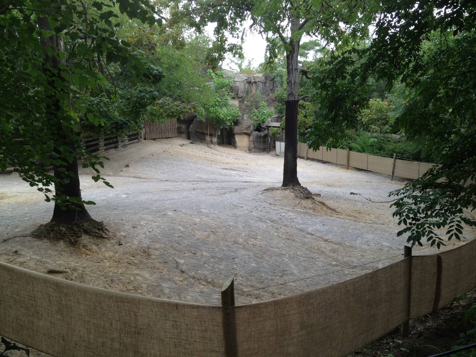 Aug. 2012-Grevy's Zebra exhibit