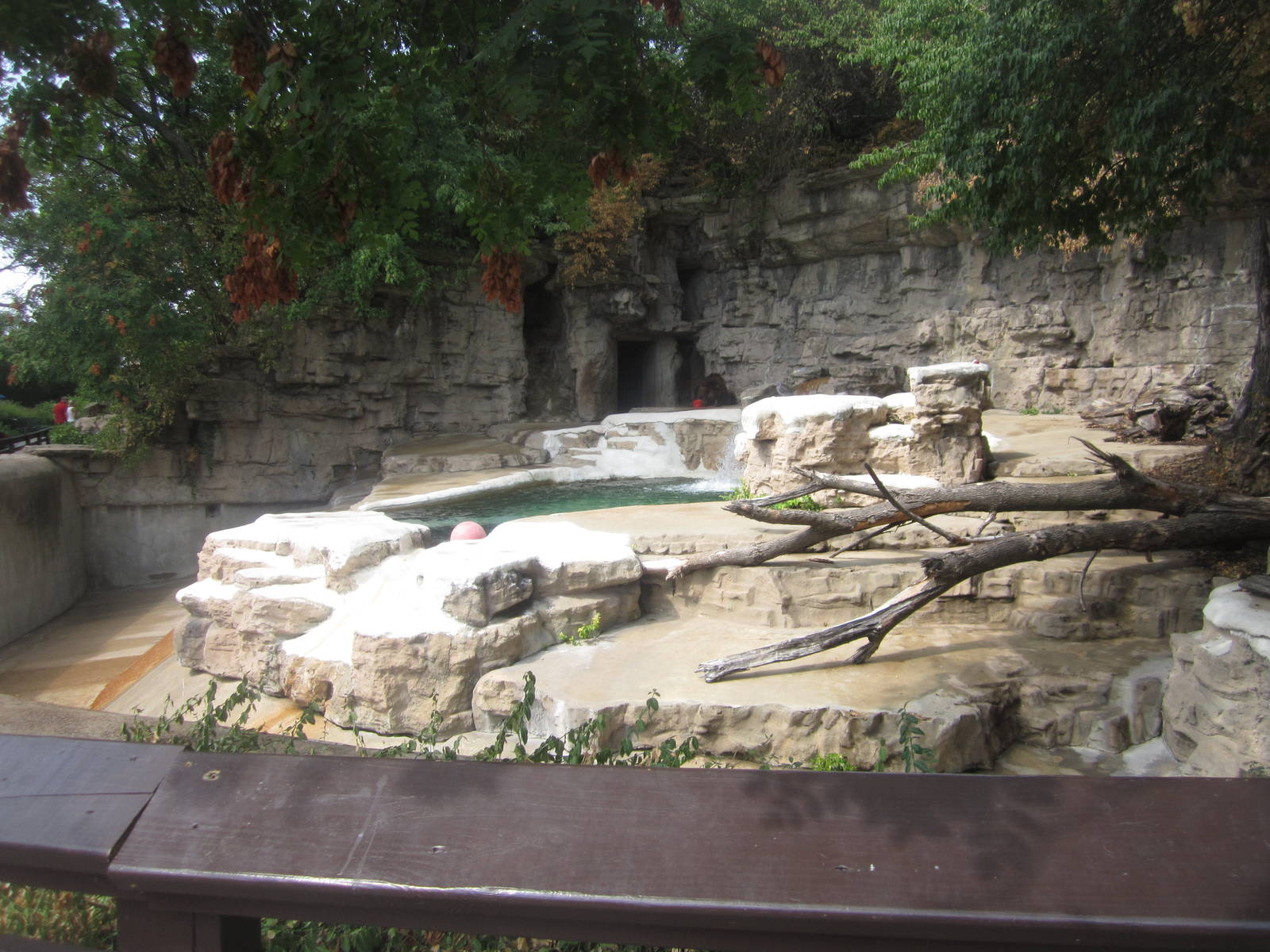 Aug. 2012-Grizzly Bear exhibit