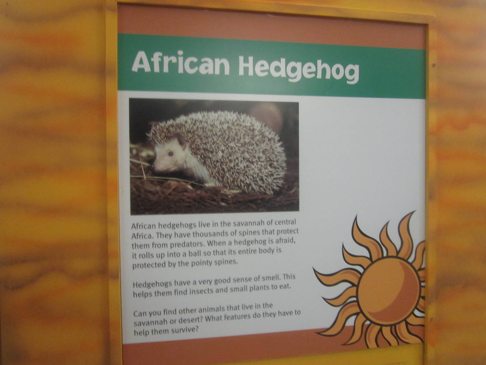 Aug. 2012-Hedgehog sign