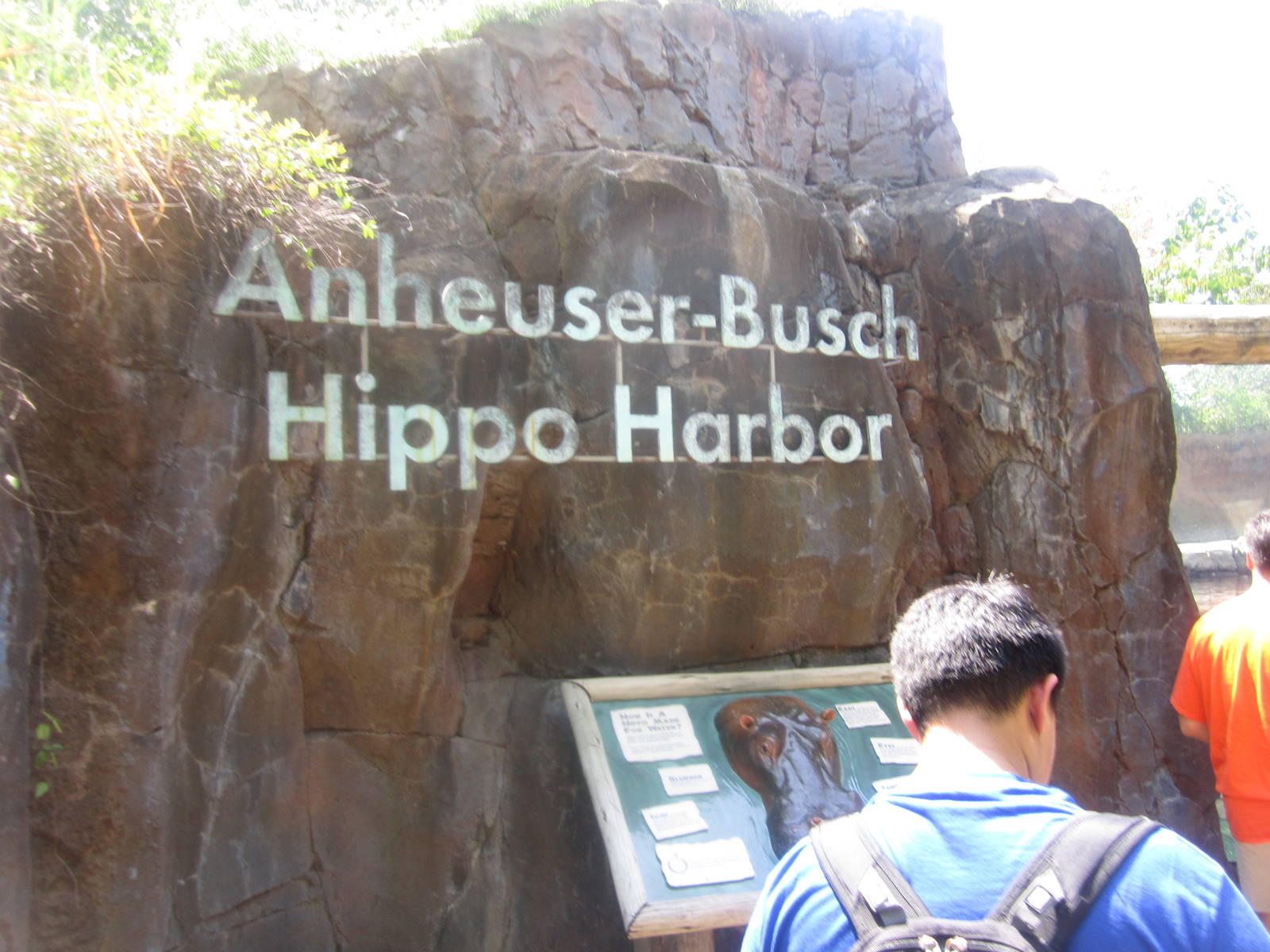Aug. 2012-Hippo Harbor Entrance Sign