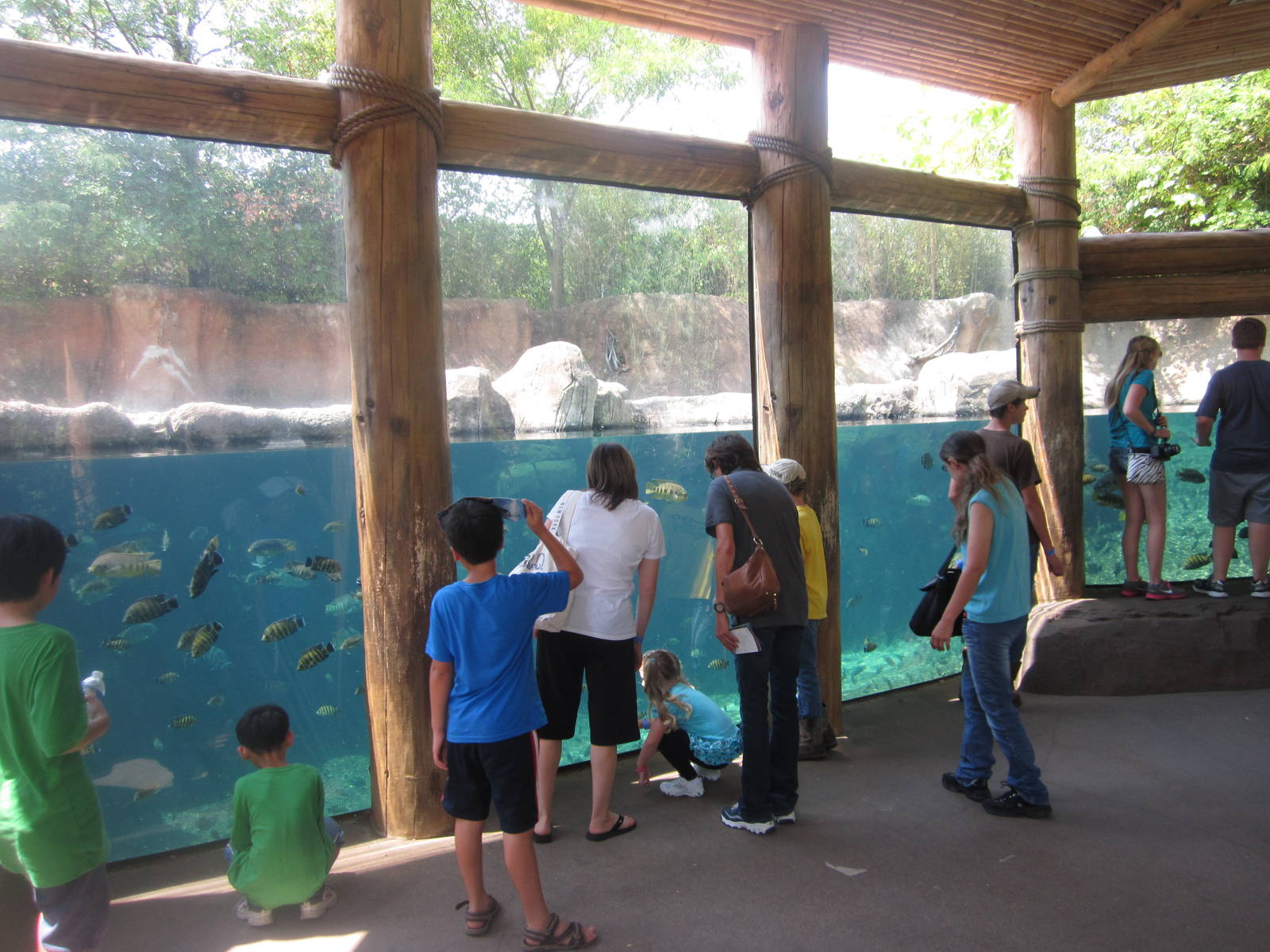 Aug. 2012-Hippo Harbor