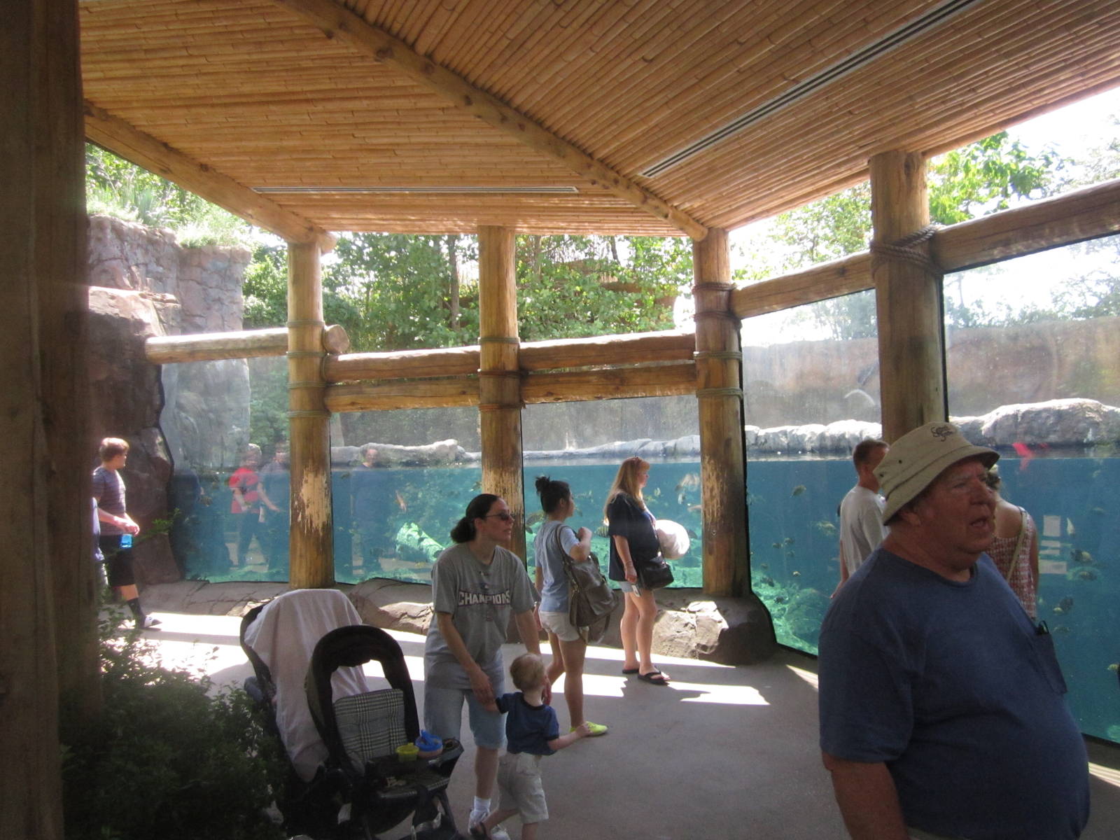 Aug. 2012-Hippo Harbor