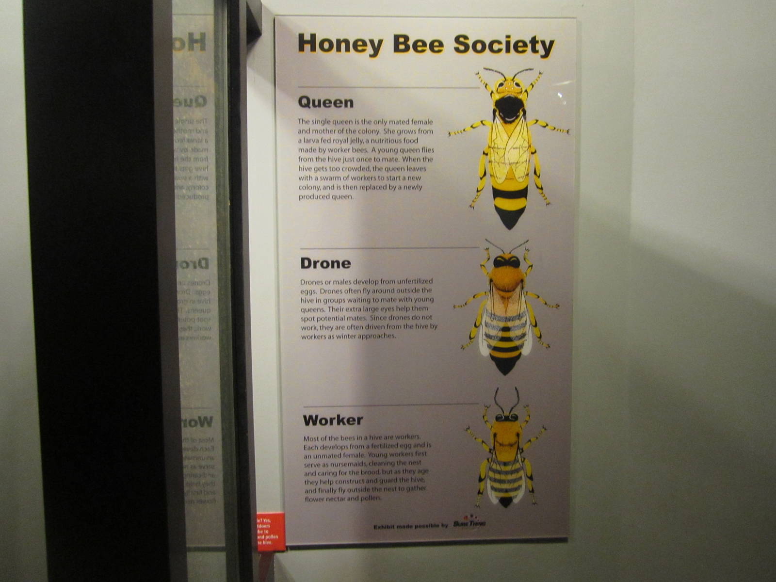 Aug. 2012-Honeybee sign