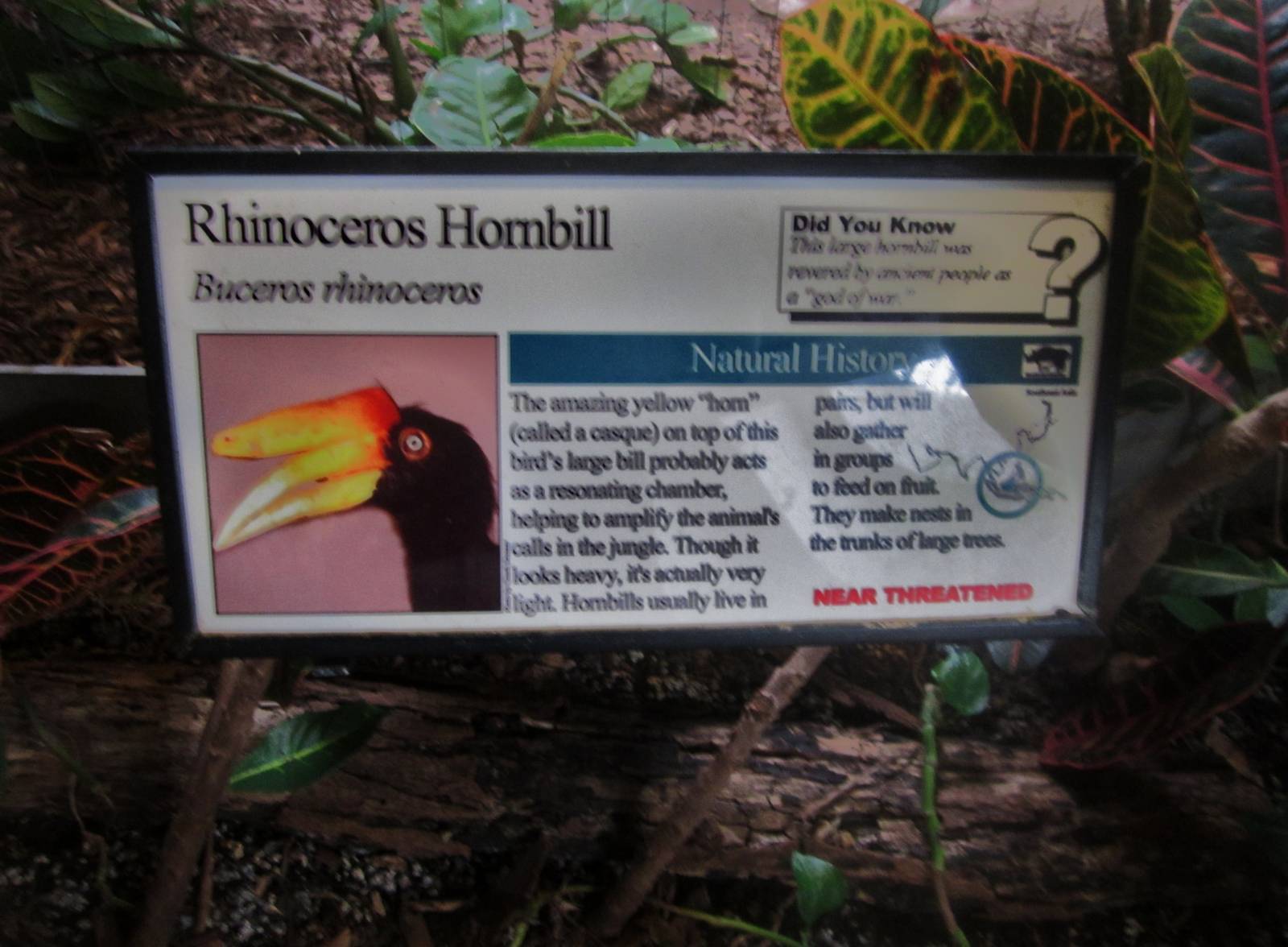 Aug. 2012-Hornbill sign