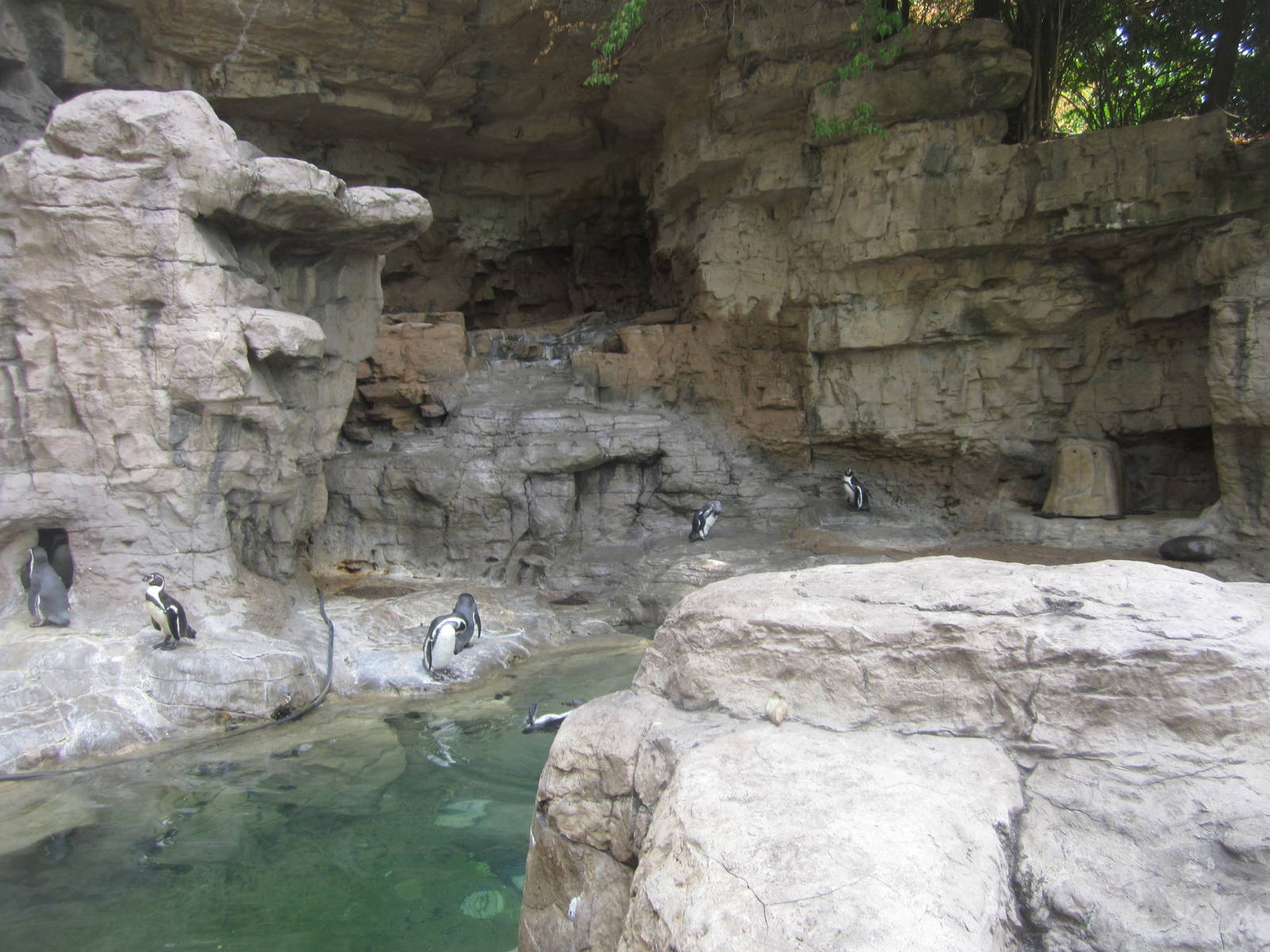 Aug. 2012-Humboldt Haven