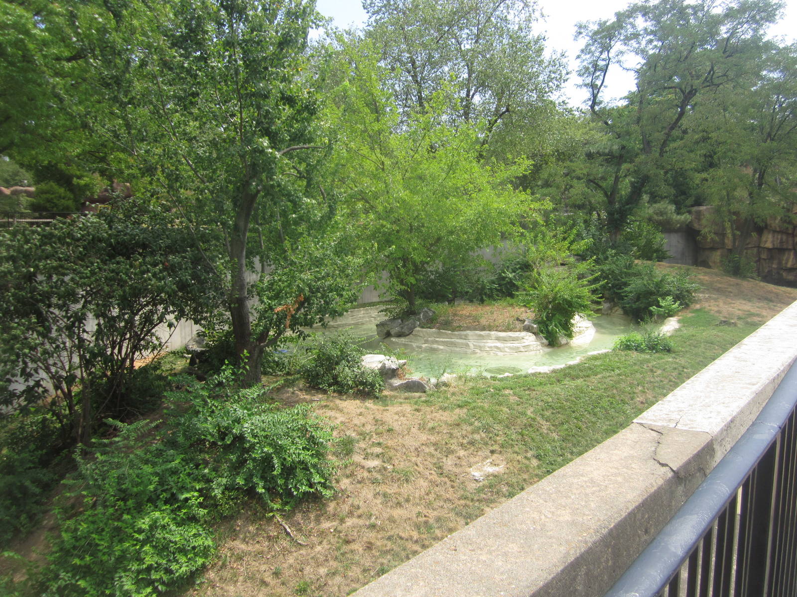 Aug. 2012-Jaguar exhibit
