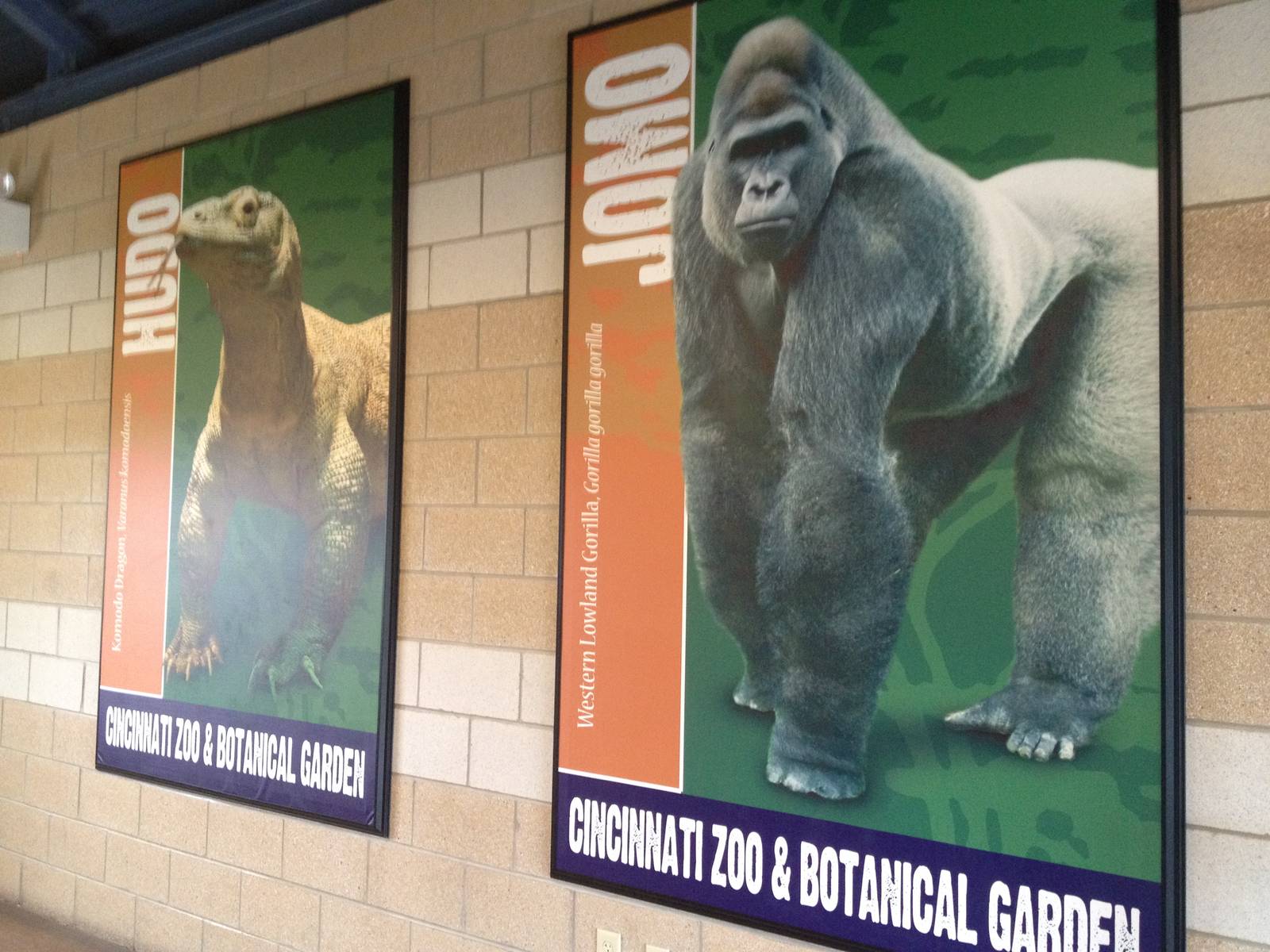 Aug. 2012-Jomo, and Hudo signs