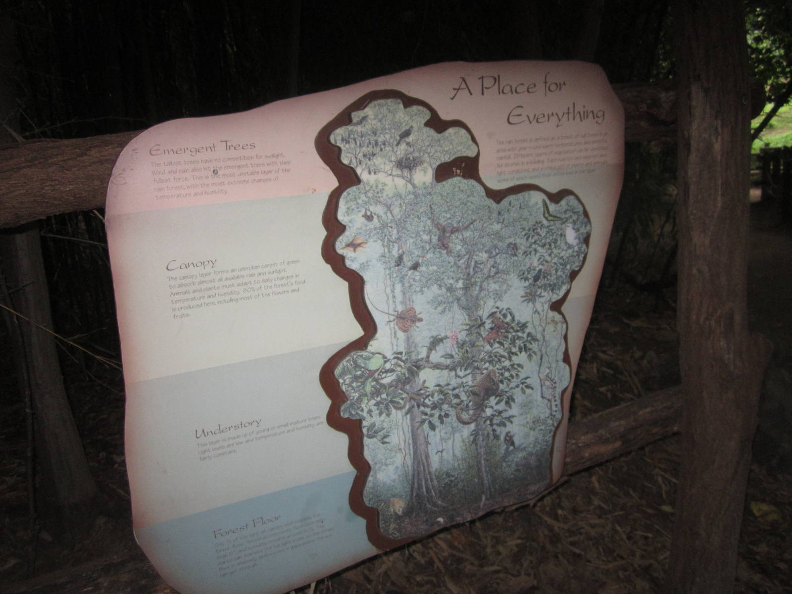 Aug. 2012-Jungle Trails sign