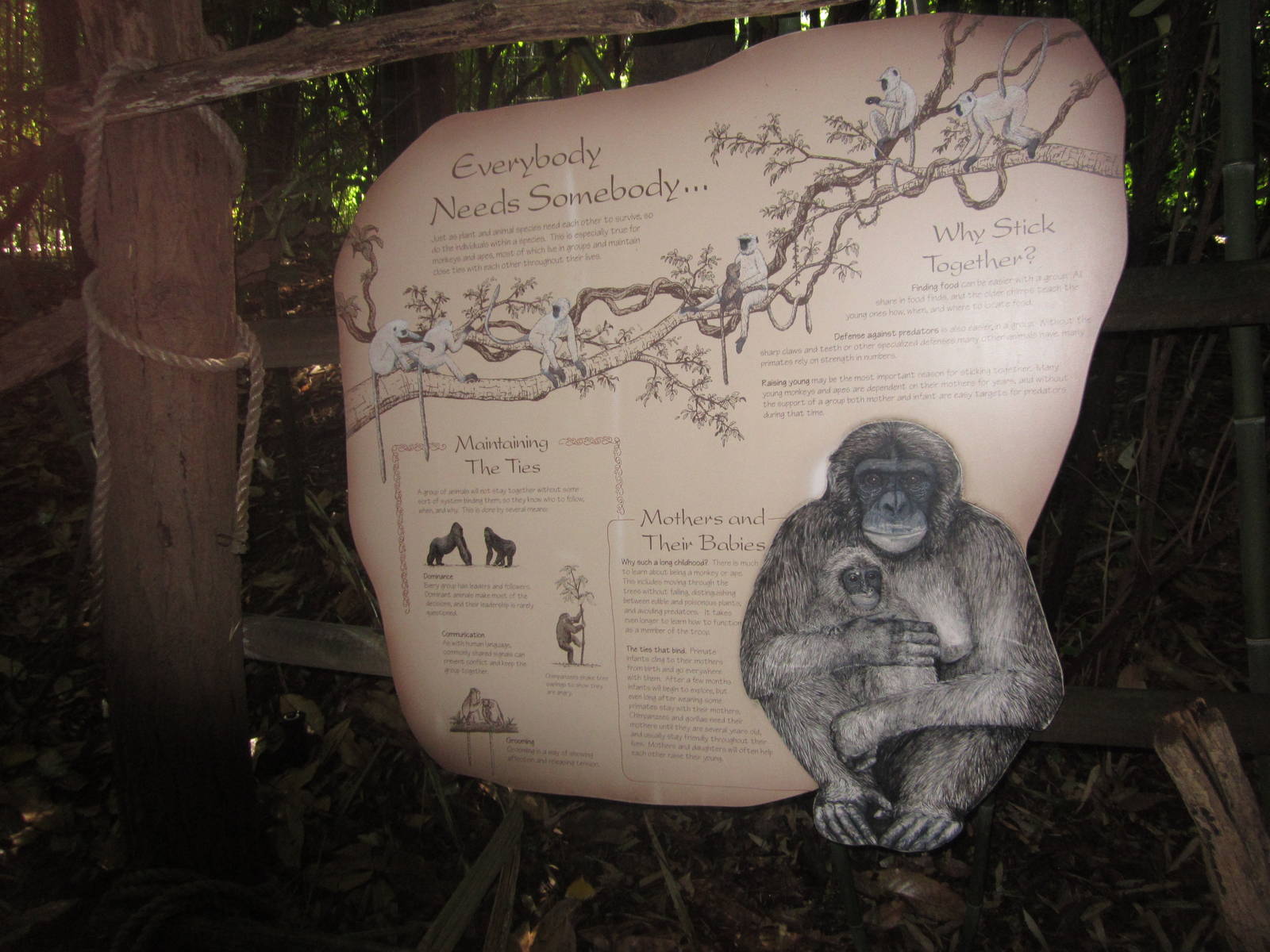 Aug. 2012-Jungle Trails sign