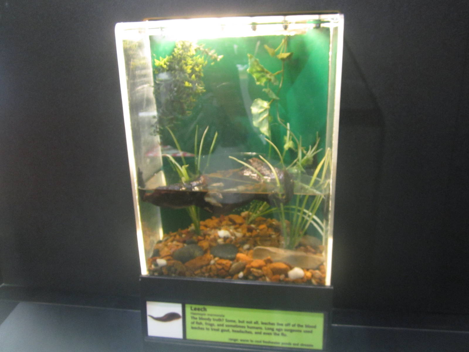 Aug. 2012-Leach exhibit