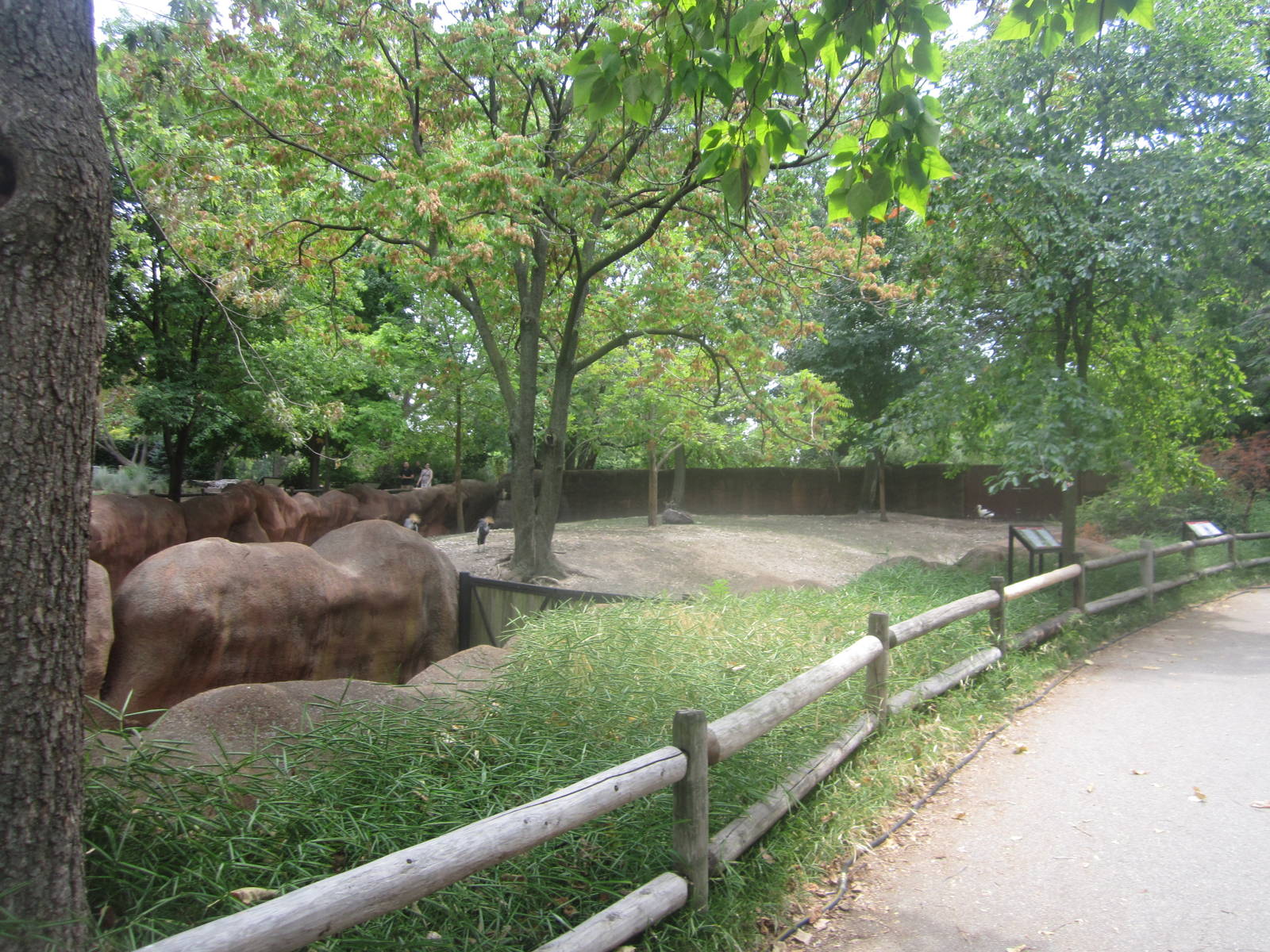 Aug. 2012-Lowland Nyala/Red-flanked Duiker/East African Crowned Crane exhib