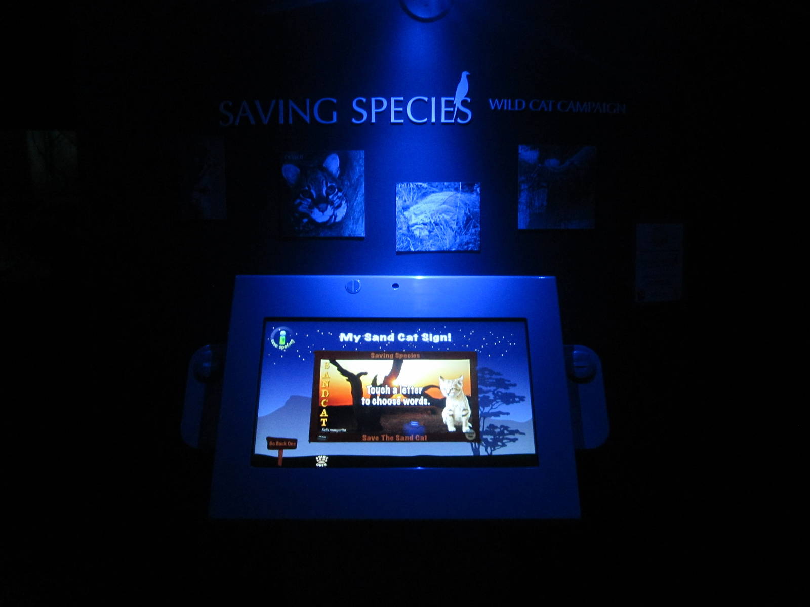 Aug. 2012-Make a Small Cat sign area