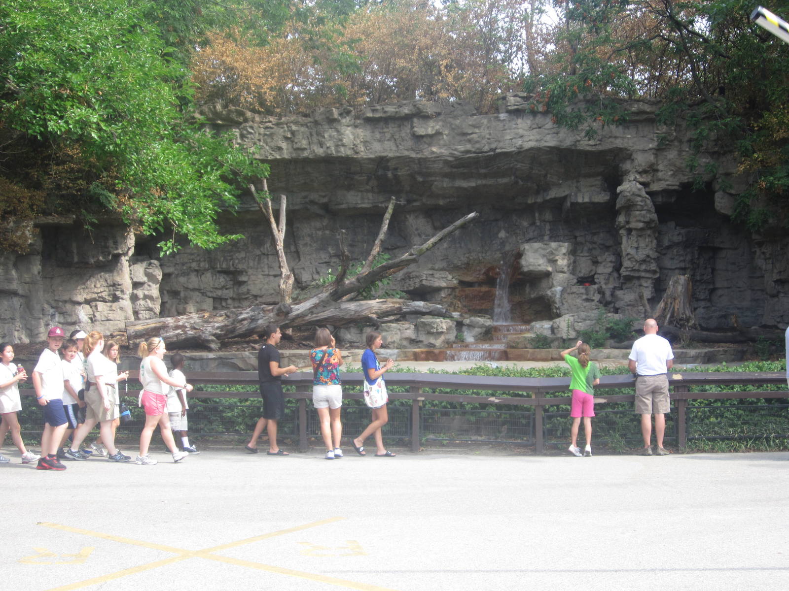 Aug. 2012-Malayan Sun Bear exhibit
