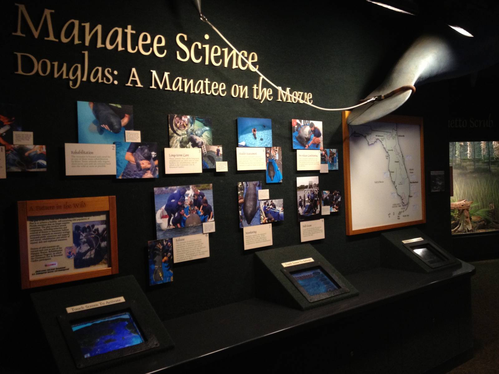 Aug. 2012-Manatee Science area