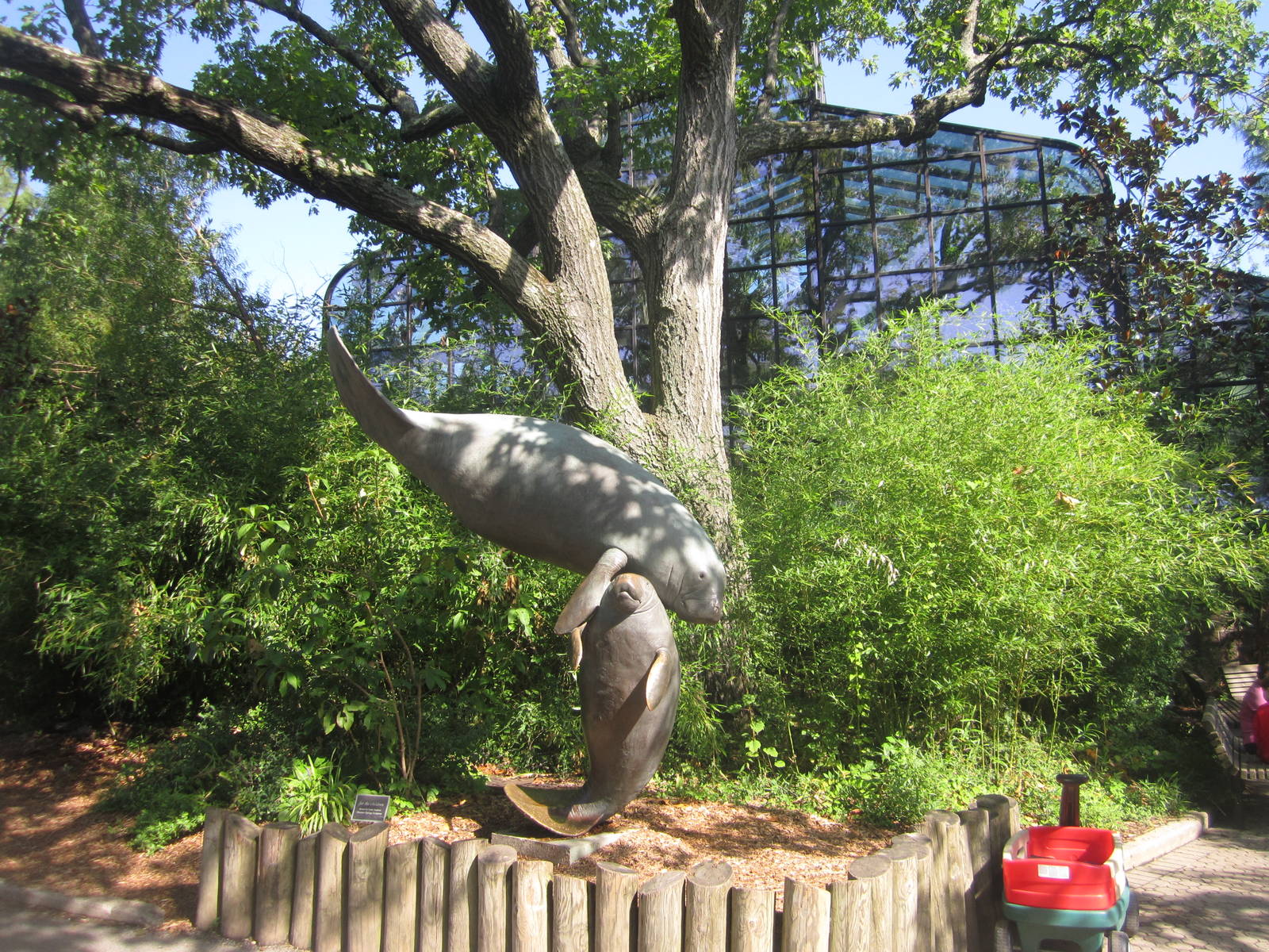 Aug. 2012-Manatee Springs