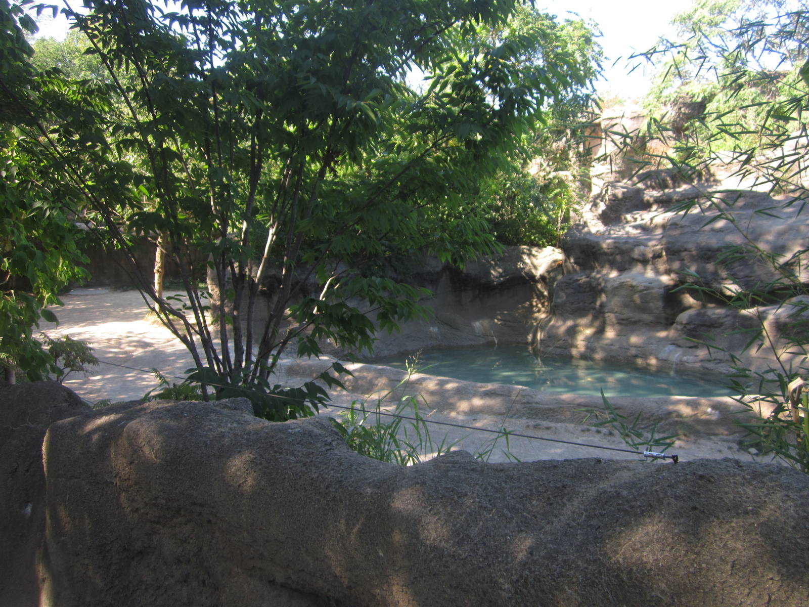 Aug. 2012-Manjula's exhibit