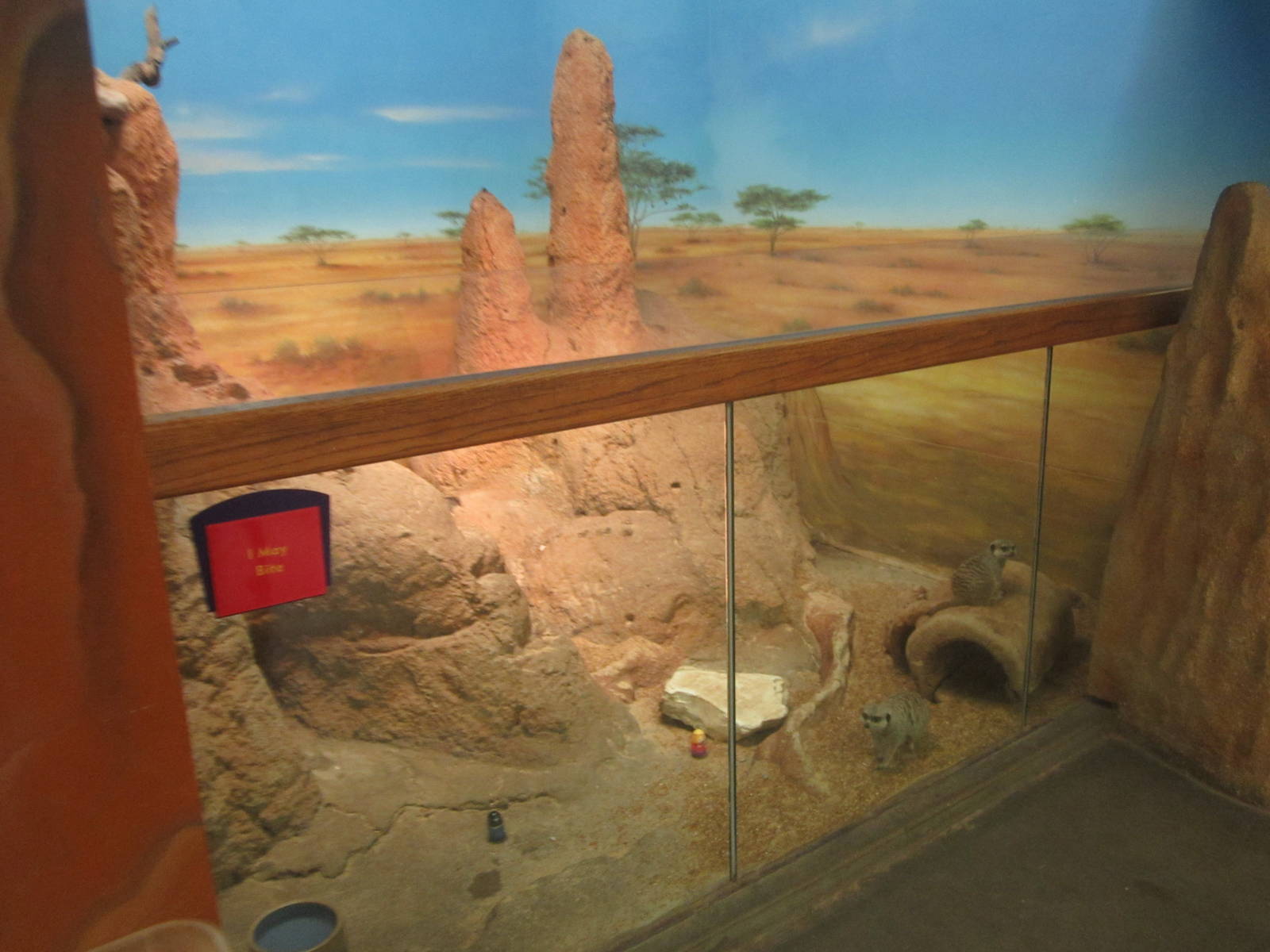 Aug. 2012-Meerkat exhibit