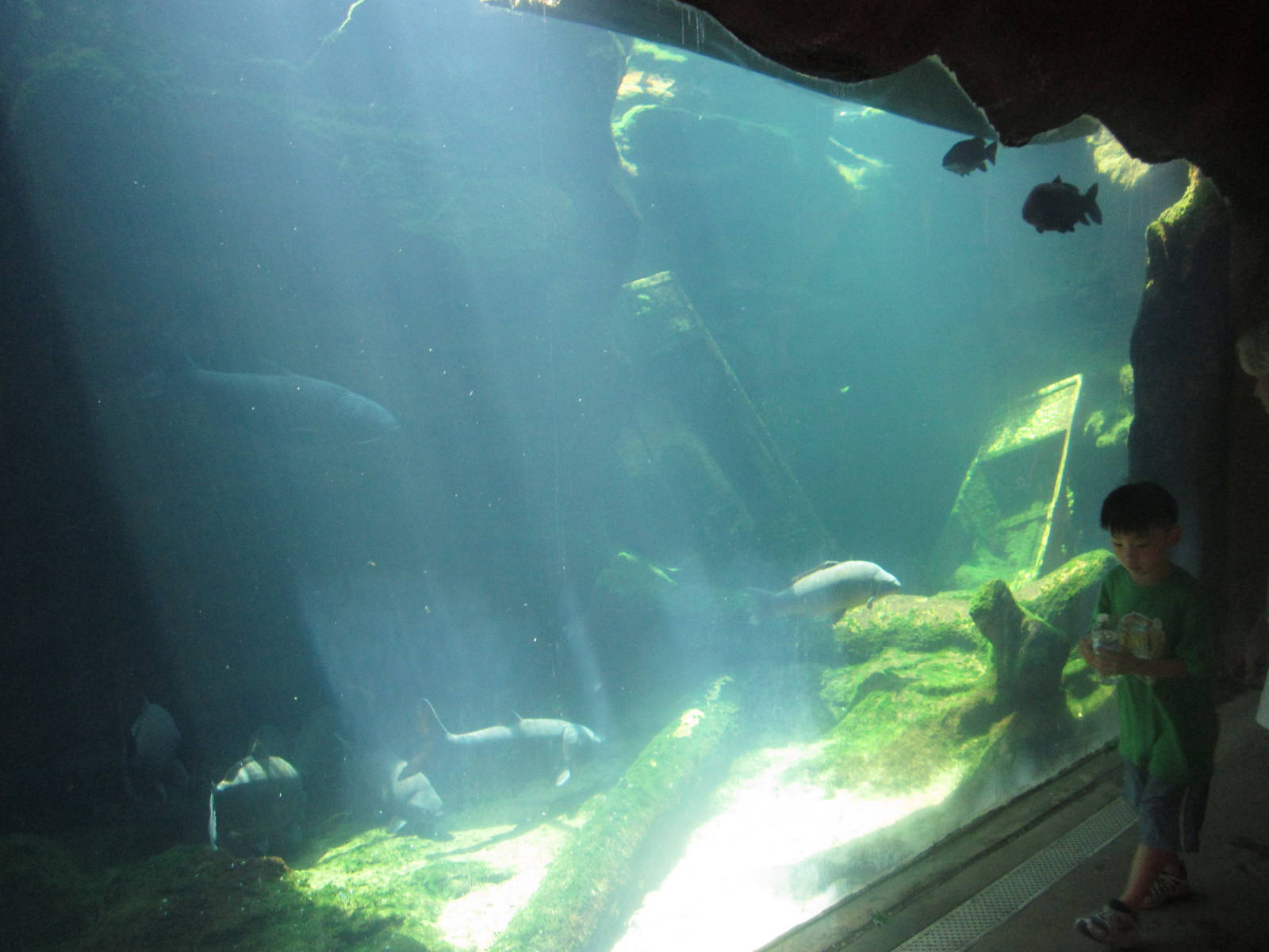 Aug. 2012-Missouri River