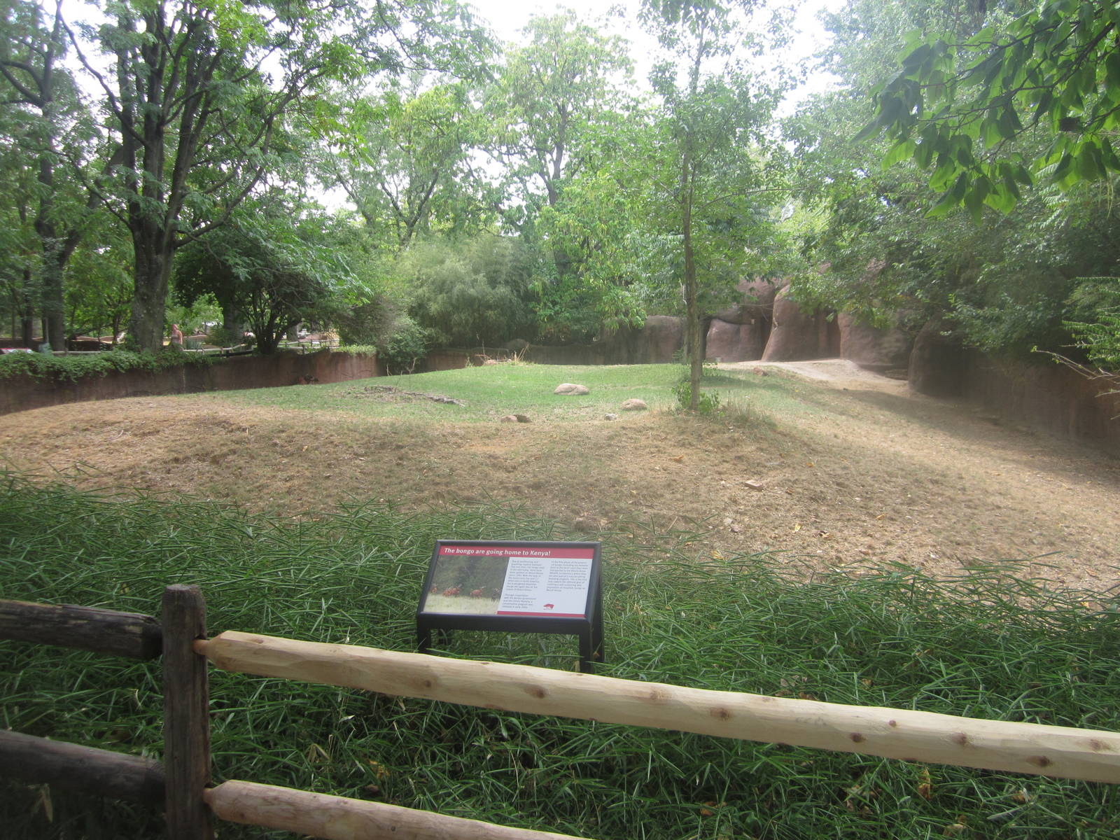 Aug. 2012-Mountain Bongo exhibit