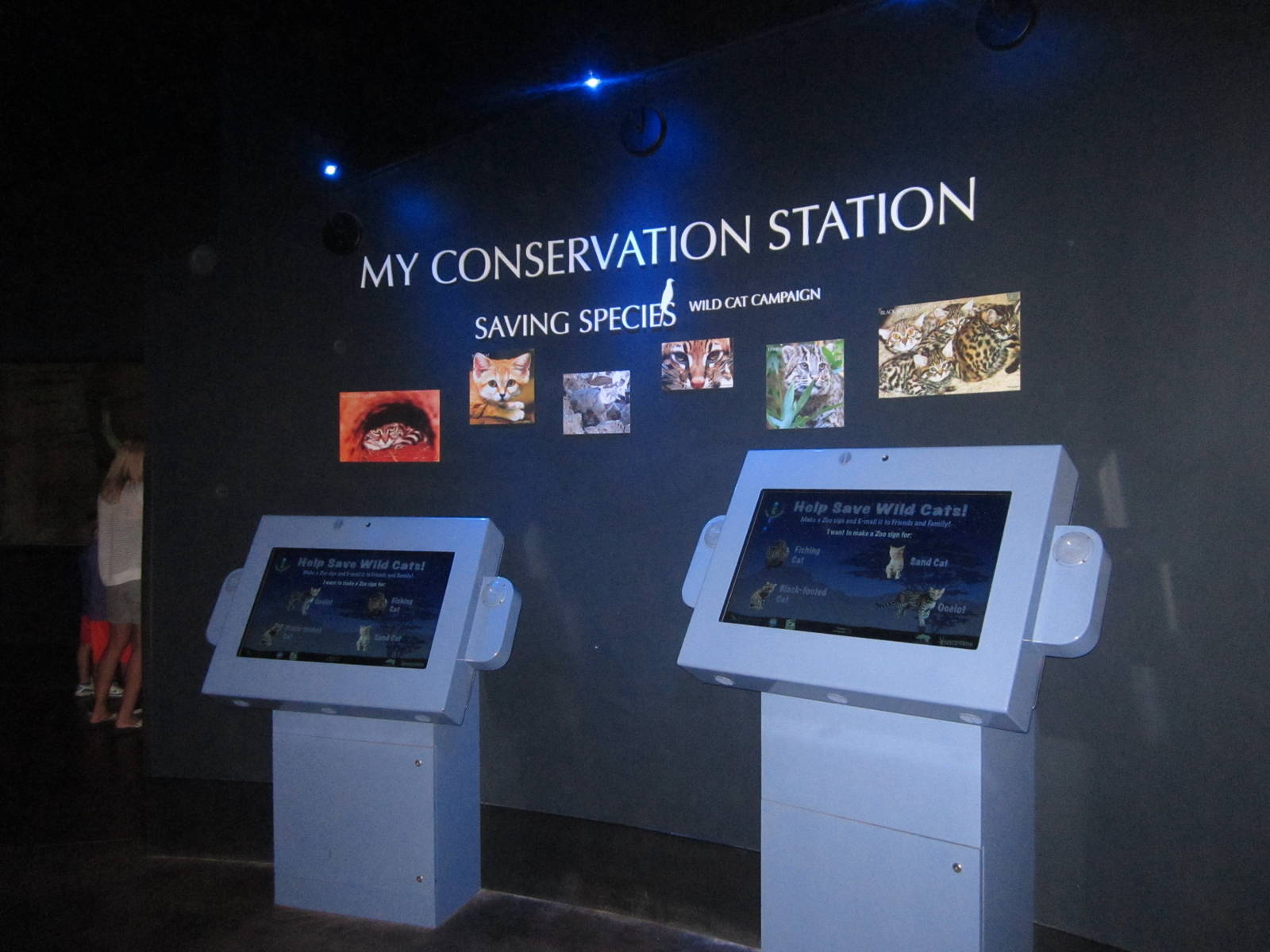 Aug. 2012-My Conservation Station area