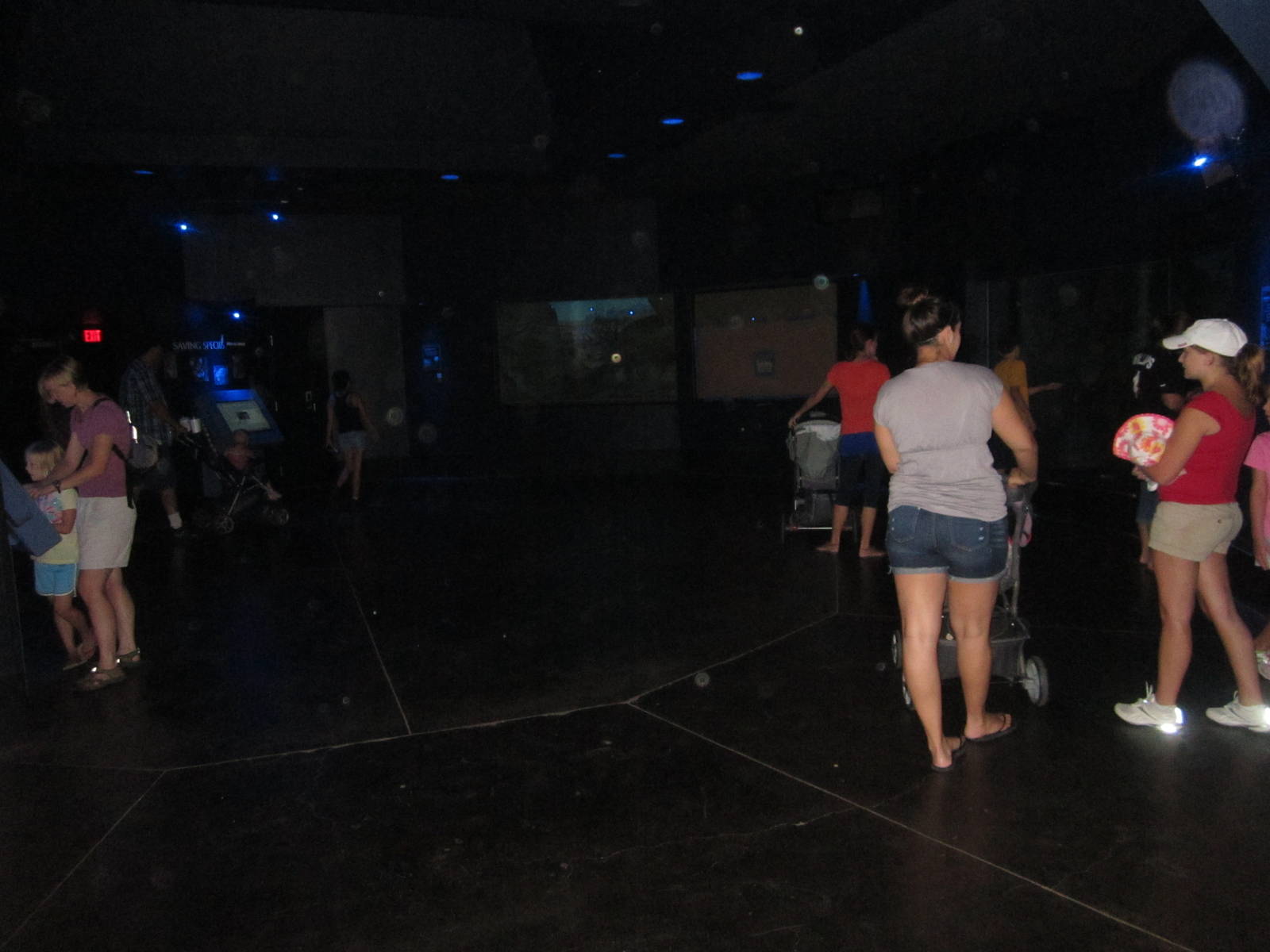 Aug. 2012-Night Hunters Rotunda