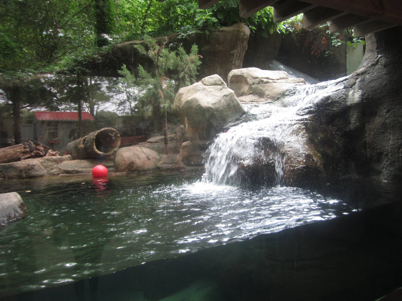 Aug. 2012-North American River Otter exhibit
