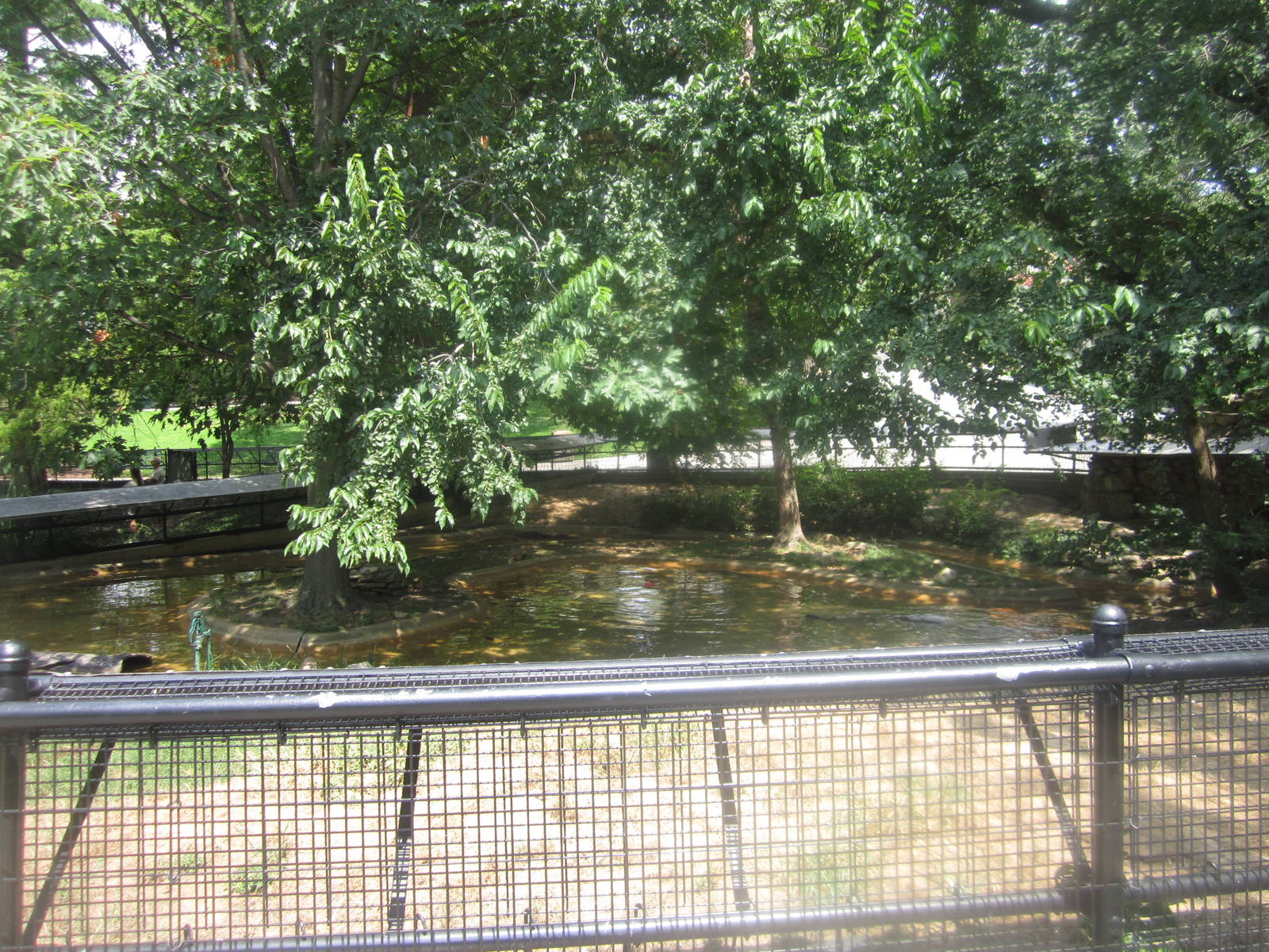 Aug. 2012-North American River Otter exhibit