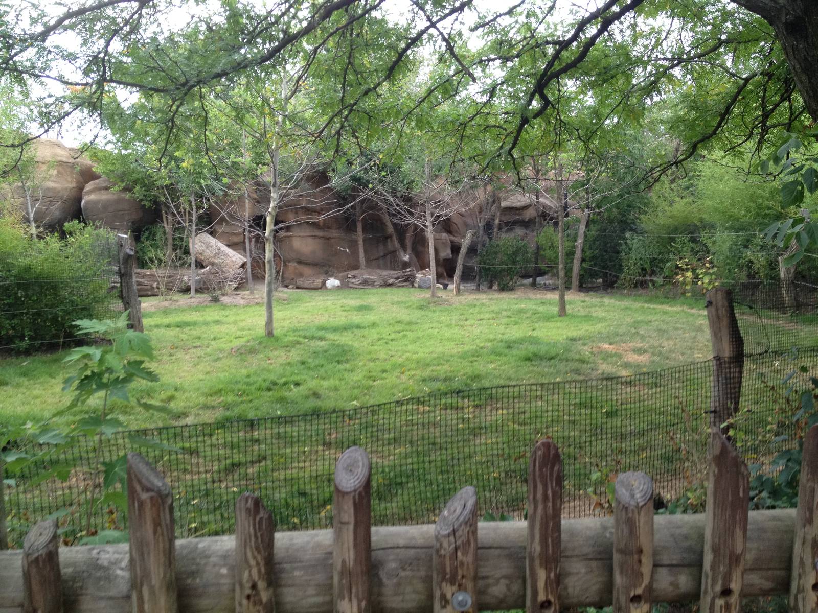Aug. 2012-Okapi/Yellow-backed Duiker exhibit