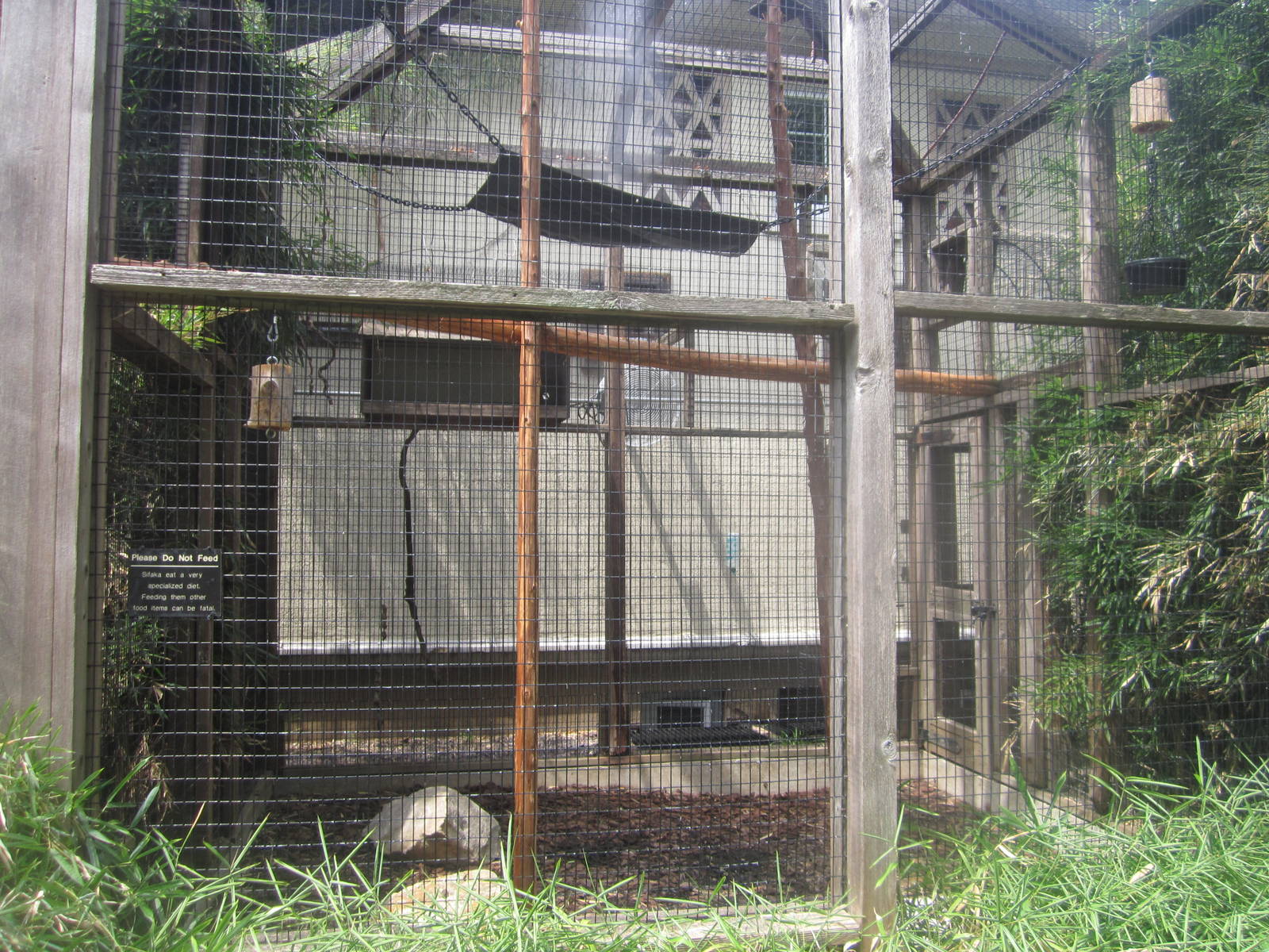 Aug. 2012-Outdoor Black-and-white Ruffed Lemur exhibit