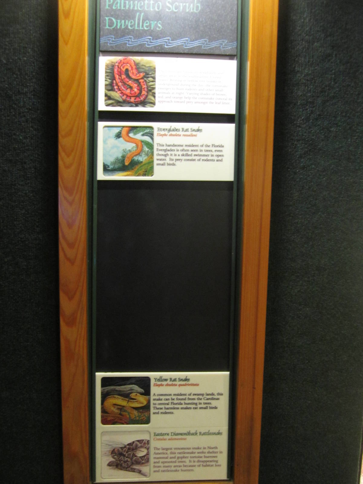 Aug. 2012-Palmetto Scrub exhibit signs